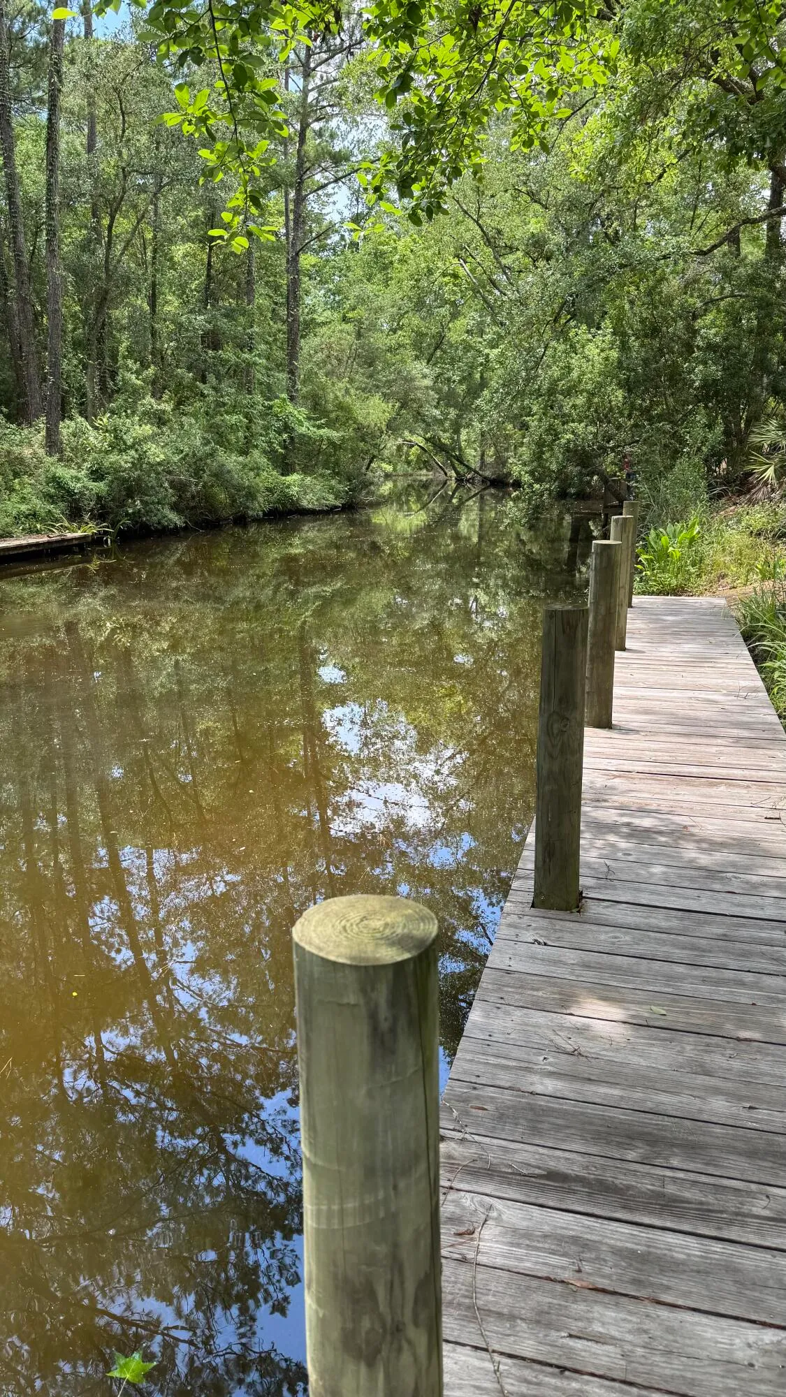 Freeport, Florida 32439, United States, ,Land,Active,35200