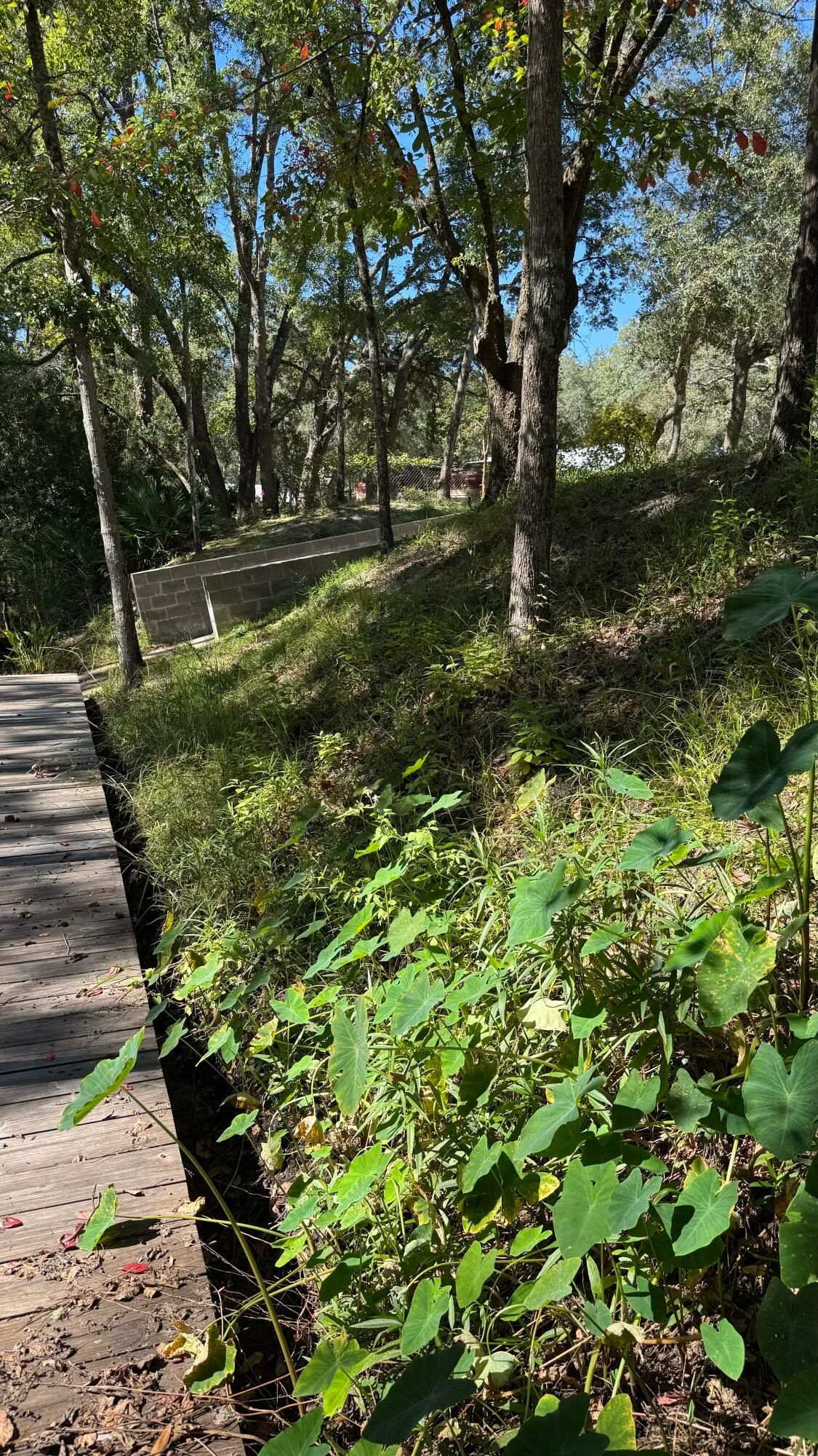 Freeport, Florida 32439, United States, ,Land,Active,35200