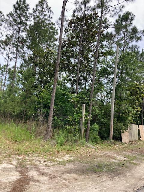 SANTA ROSA PLANTATION - Land