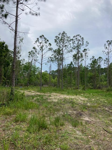 Lot #11 N County Hwy 393