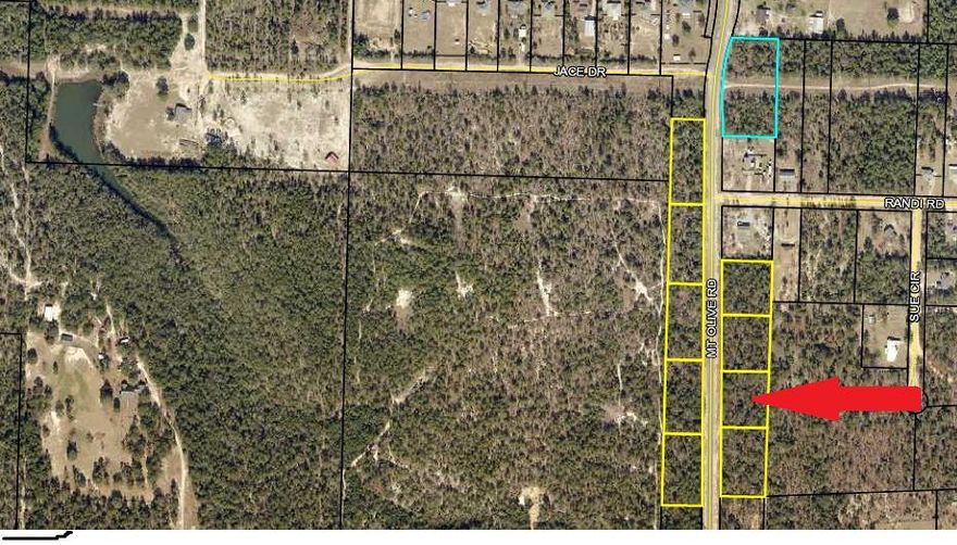 Bring all offers and don't forget your house plans! This 1 acre level lot won't last long. Lot is located in the county and utilities are at the road. Short drive to Crestview. Conveniently located between Hwy 85 and Hwy 285.