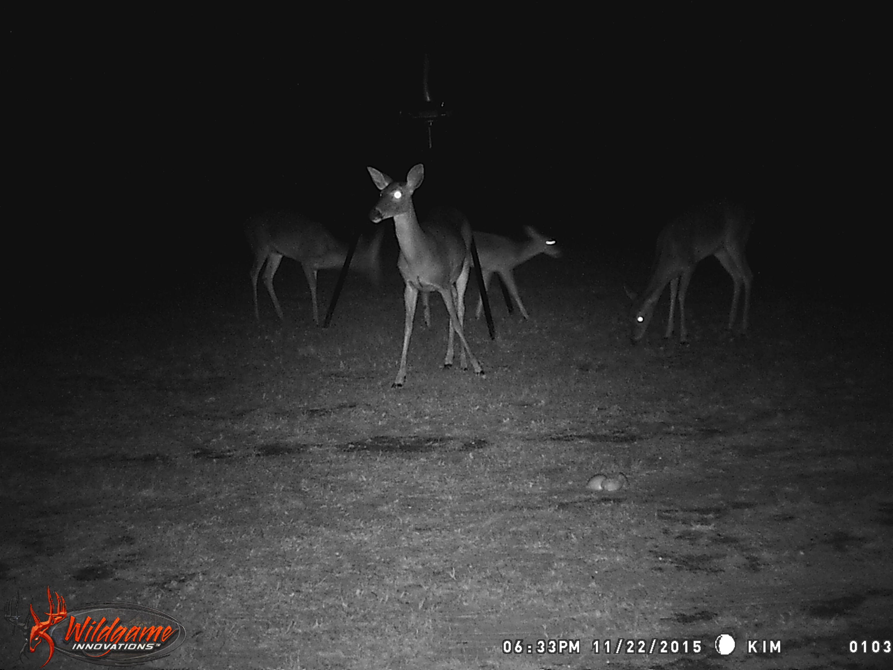 HILL CREST GROVE - Residential