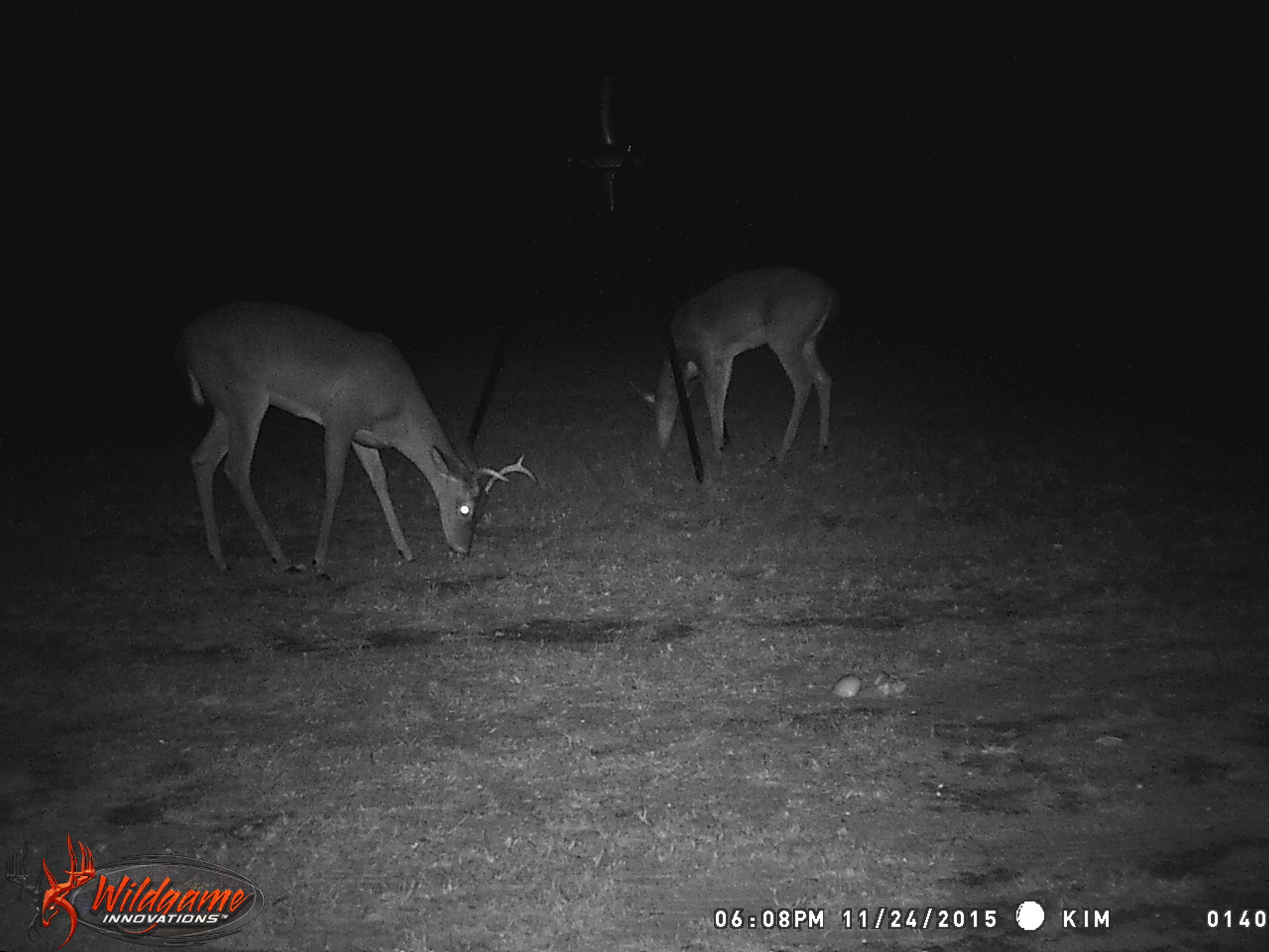 HILL CREST GROVE - Residential