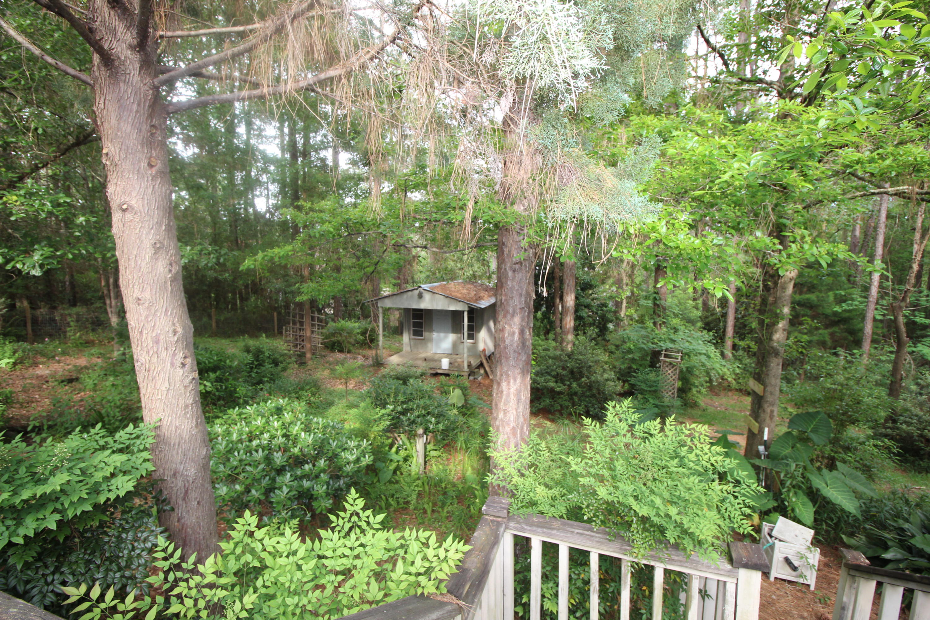 PINE SHORES - Residential