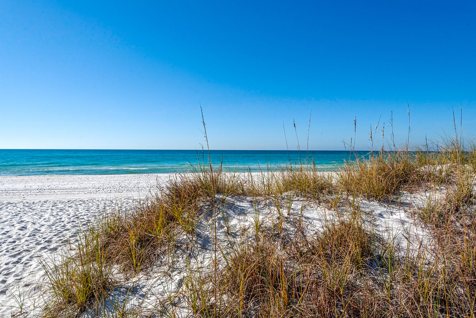 WELLS GULF BEACH ESTATES - Residential