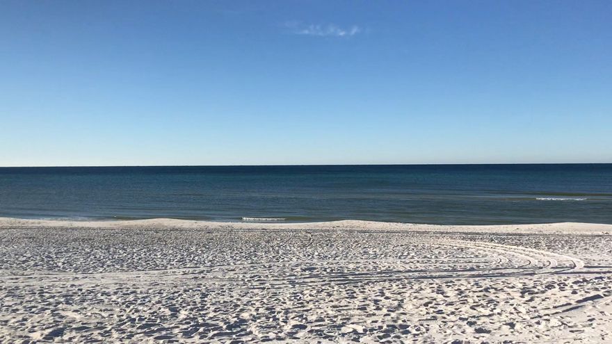 Grande Pointe at Inlet Beach is a residential subdivision located in Inlet Beach. Seller Financing possible with 30% down. Have the seller hold your mortgage while you design your house. Rosemary Beach and the new 30A Avenue and shopping and restaurants. This property is unique because it is bordered to a State of Florida Nature Preserve. No building will be behind this lot. s/d amenities include: beautiful park , oversized swimming pool, nature path to the lake, custom crafted bronze sculpture, spacious clubhouse with full kitchen and bathroom facilities,community dock, and convenient access to Bay Counties Pier Park and airport.