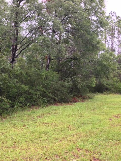 NONESUCH WAY - Residential