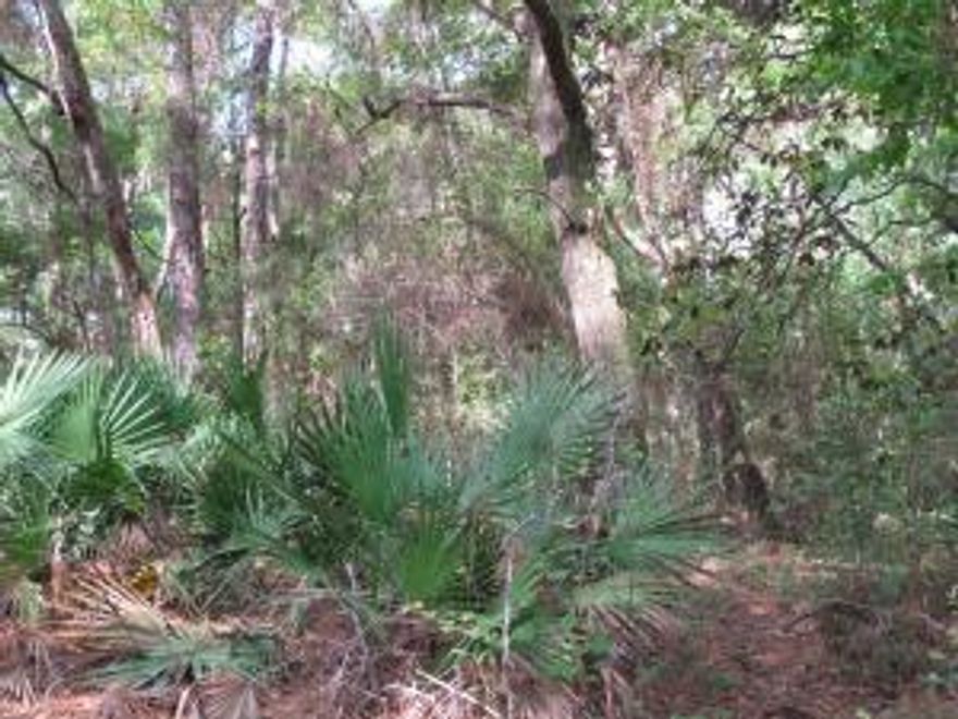 Deer Moss Creek is Niceville's newest community with beautiful wooded lots tucked into the first portion of 1100 acres. Annexed into the City of Niceville, this mixed-use community plans to include single-family, multi-family, commercial, a village center and a light industrial area. Phase 1 is named Hartfield and has ninety-eight single-family lots ranging from .11 acres to .38 acres. A paved trail system is planned to run along the path of the creek that runs the length of Deer Moss Creek, north to south. The Phase 1 portion of the trail is complete and there is also a park in the center of Hartfield. As future phases develop, there will be other amenities such as pools, community center, other parks, etc. A bike path is planned for both sides of Deer Moss Loop.