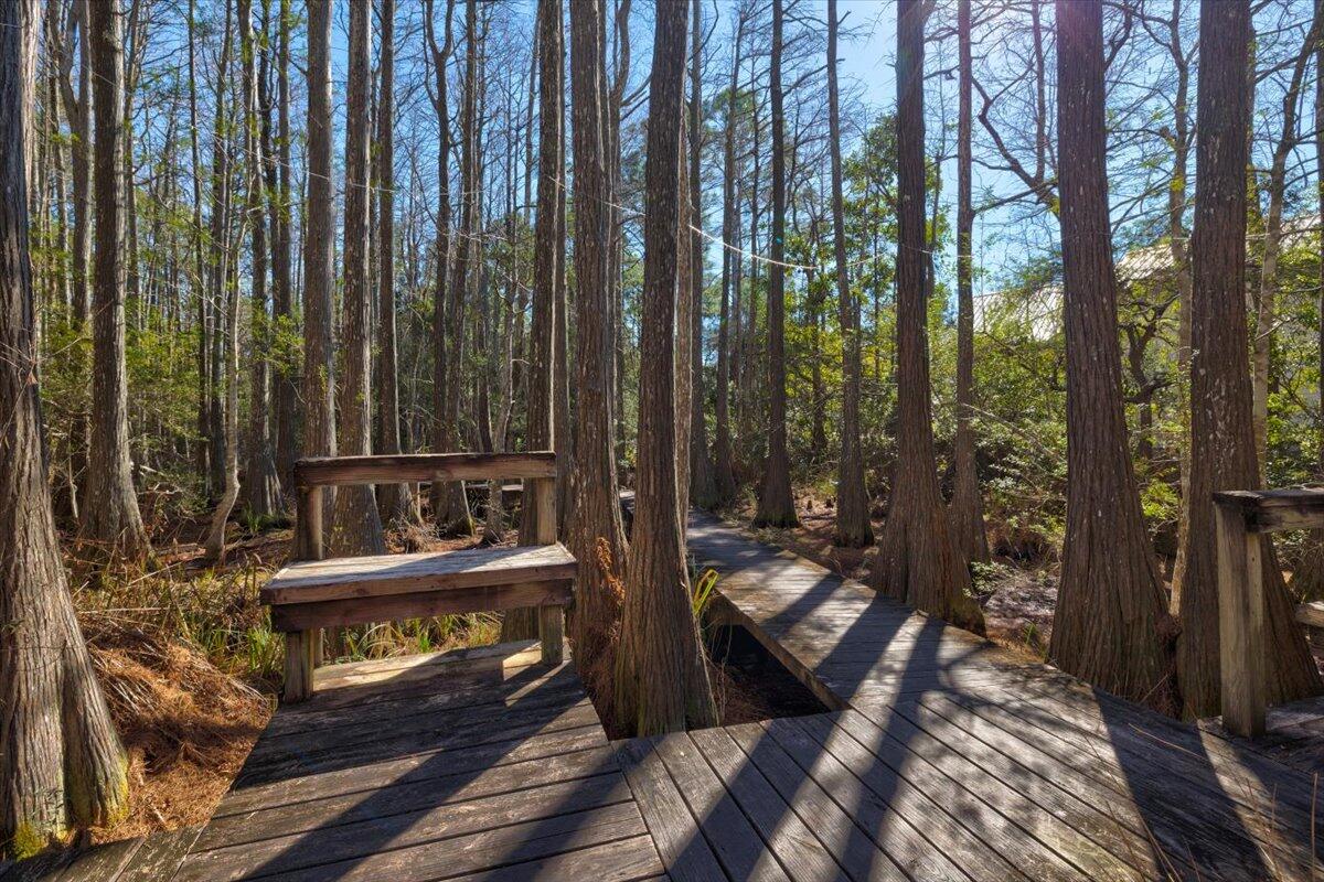 CASSINE GARDENS T/H PH 1 - Residential