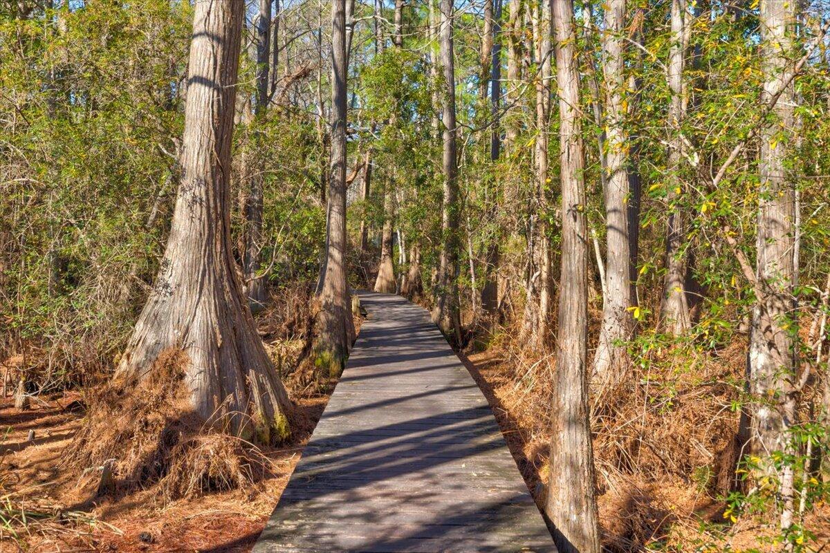 CASSINE GARDENS T/H PH 1 - Residential