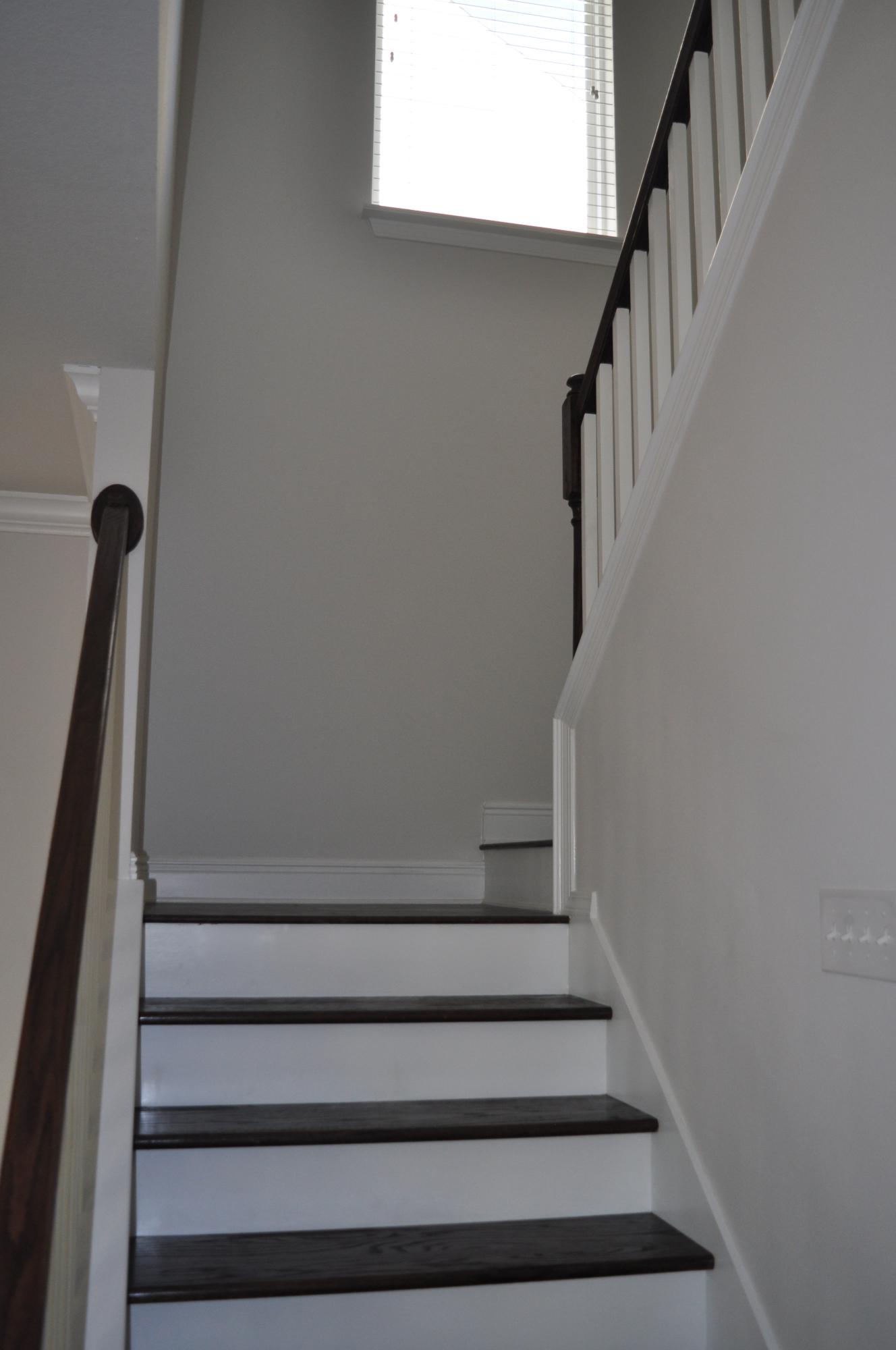 Pinewood Preserve - Residential