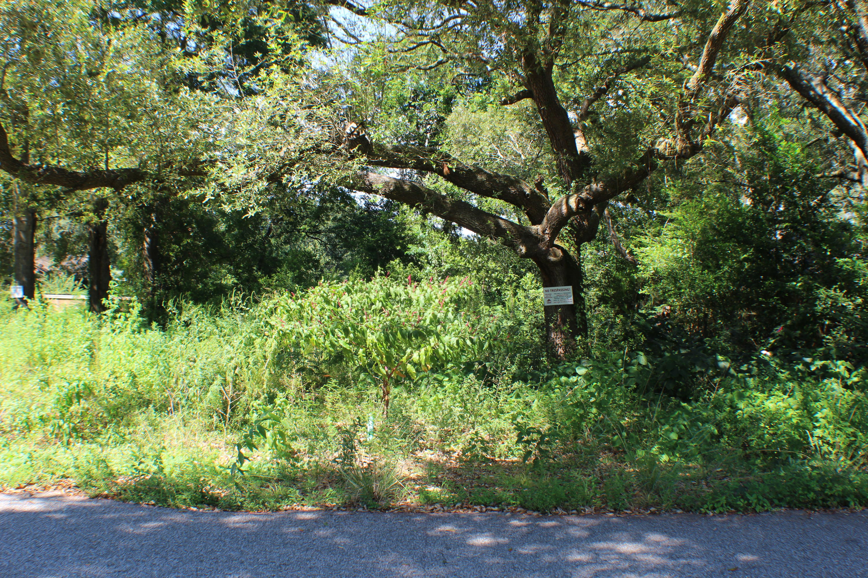 CAROL ANNE MANOR - Residential