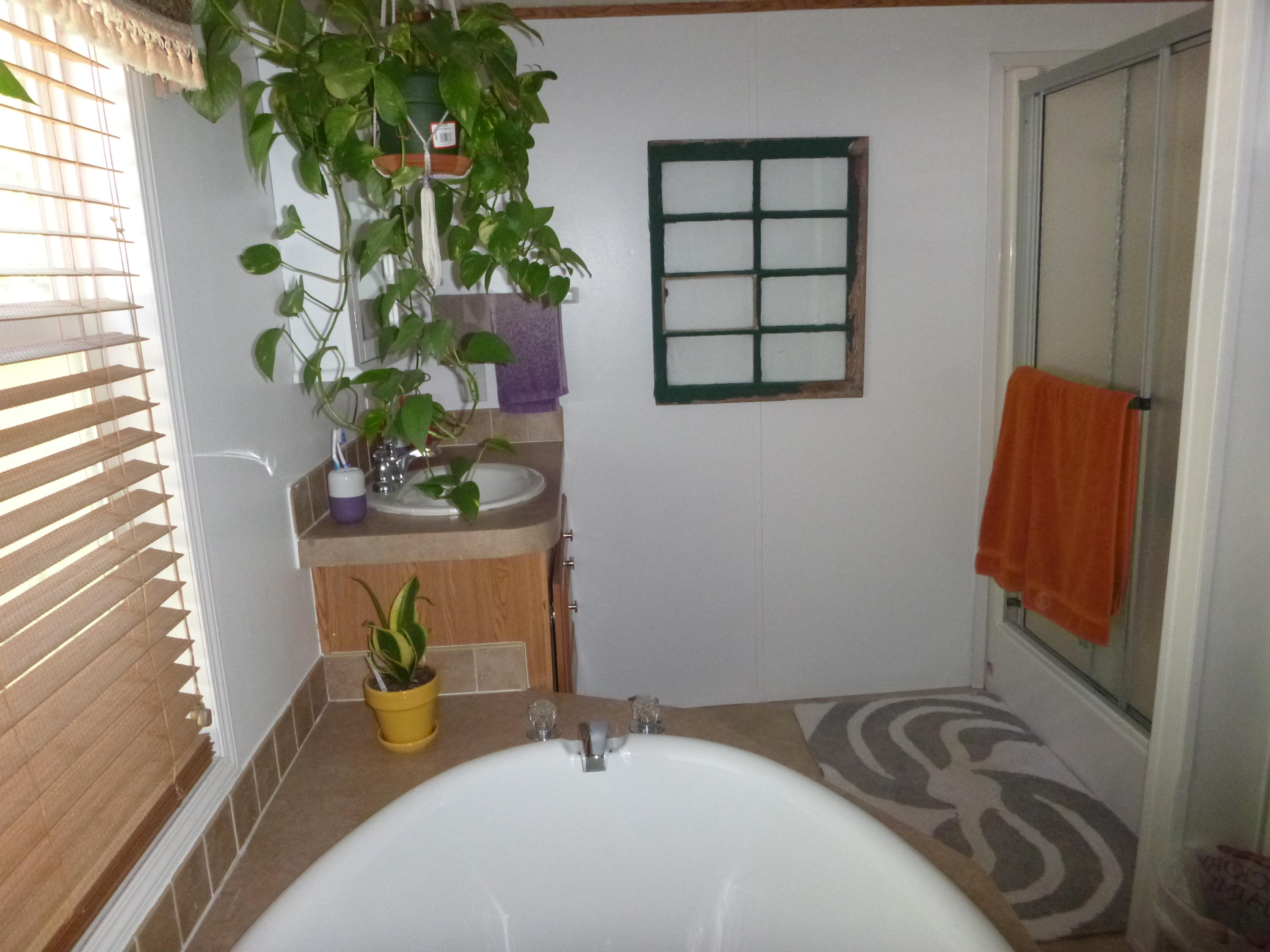 INDIAN SPRINGS - Residential