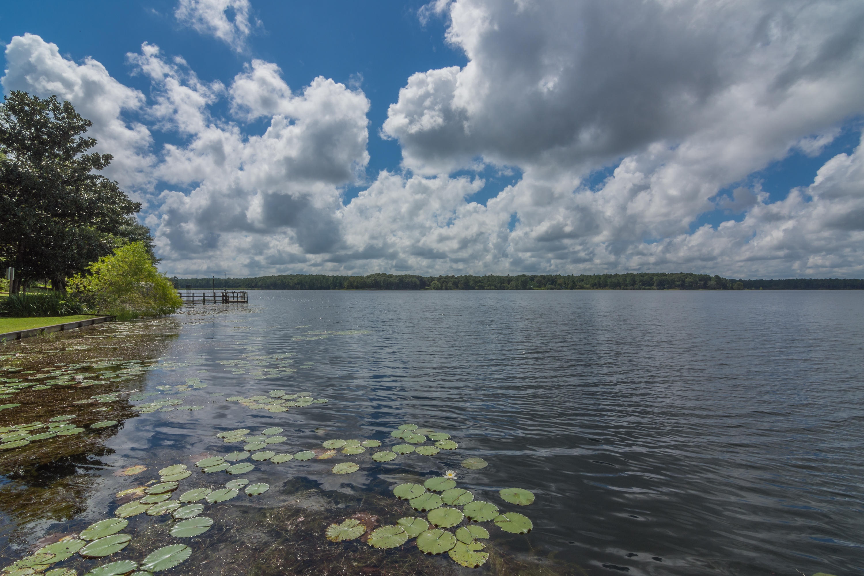 LAKE HOLLEY ESTATES - Residential