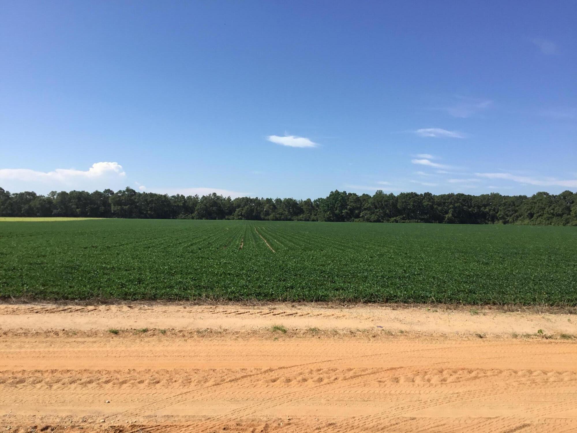 North Supergroup (221000.00) - Land