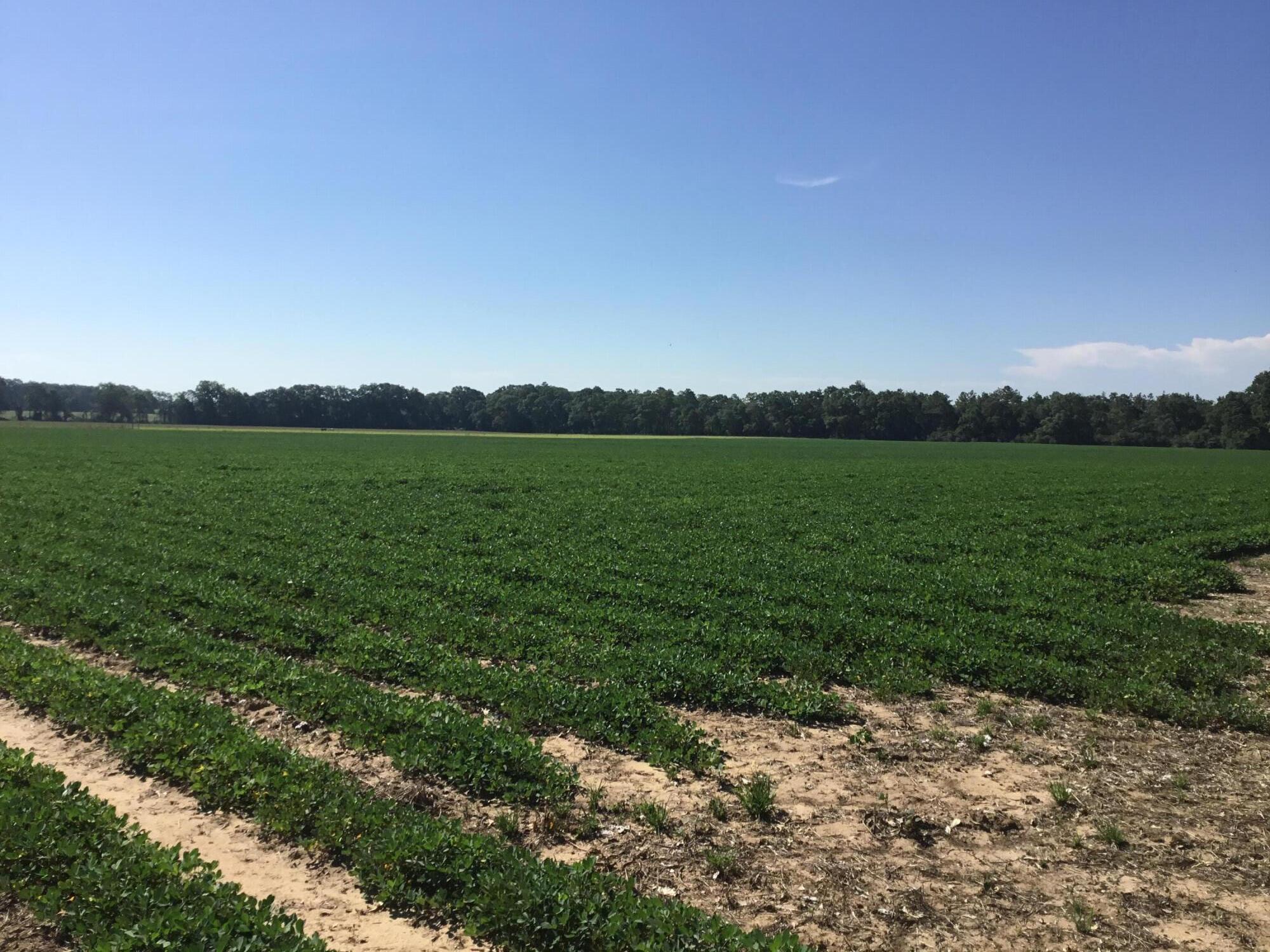 North Supergroup (221000.00) - Land