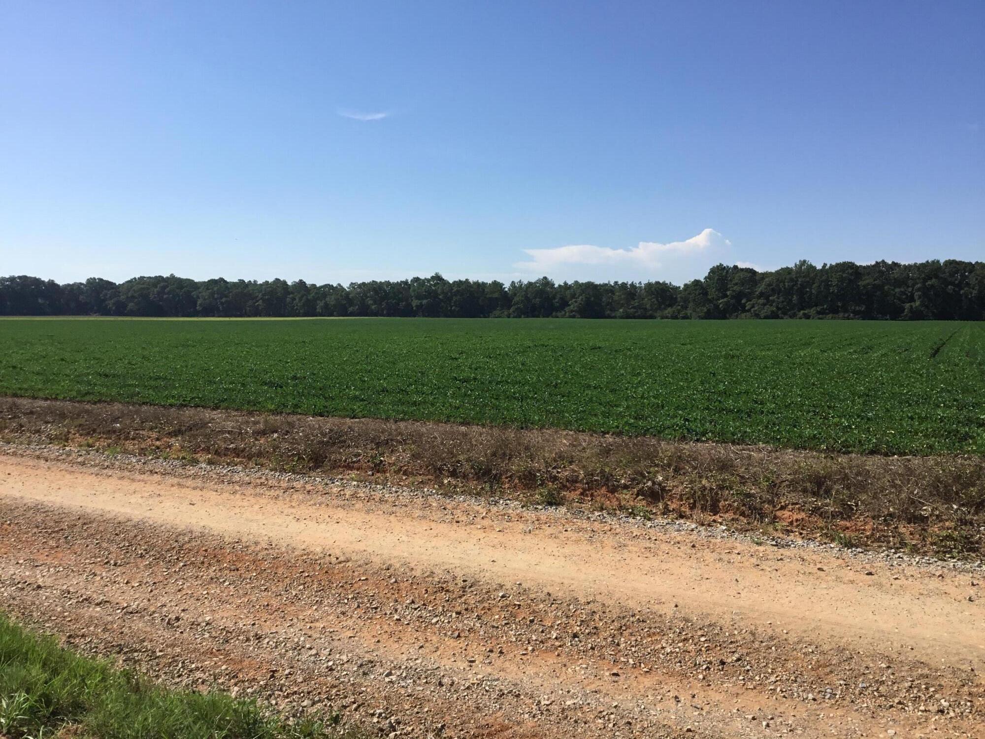 North Supergroup (221000.00) - Land