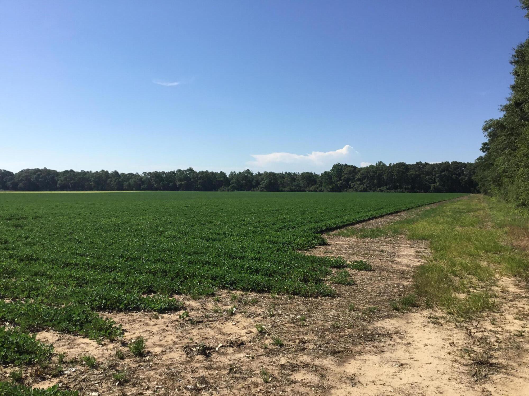 North Supergroup (221000.00) - Land