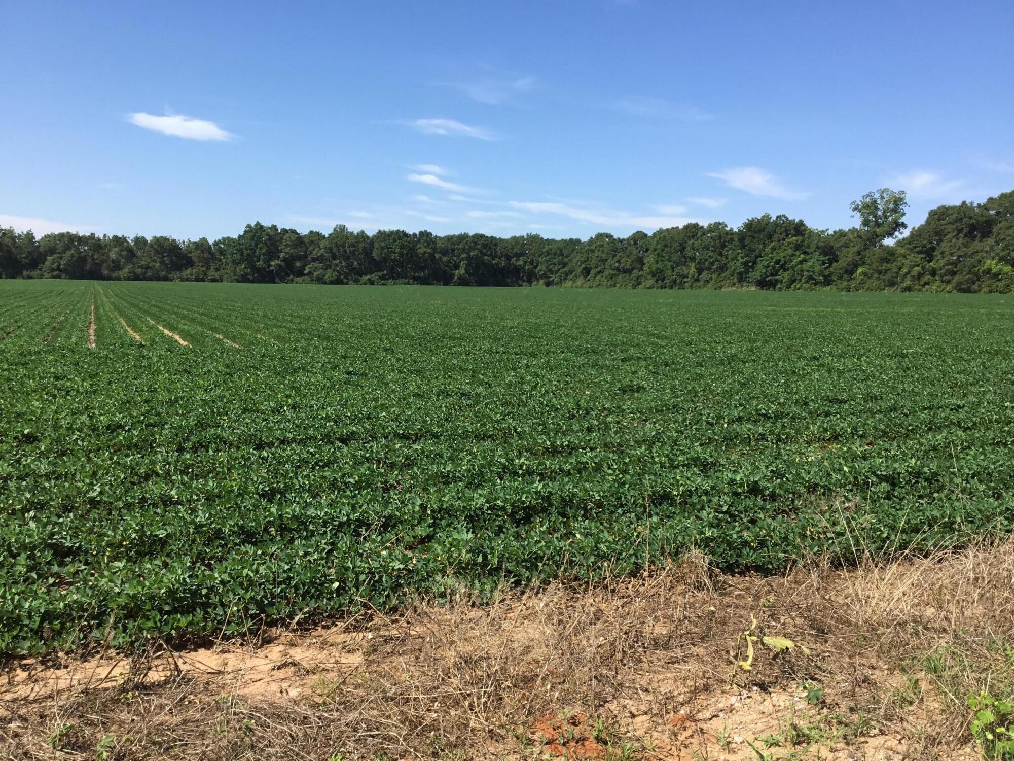 North Supergroup (221000.00) - Land