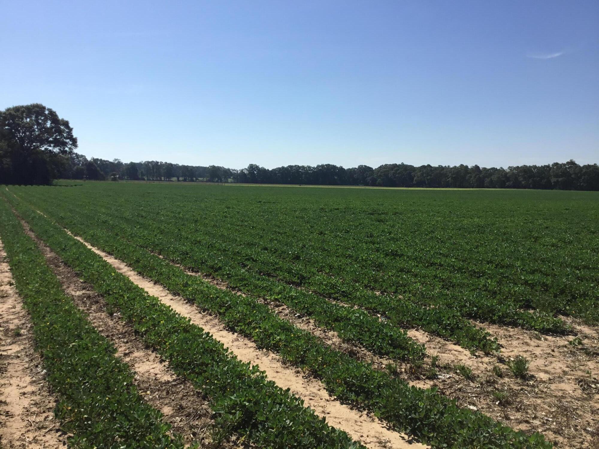 North Supergroup (221000.00) - Land