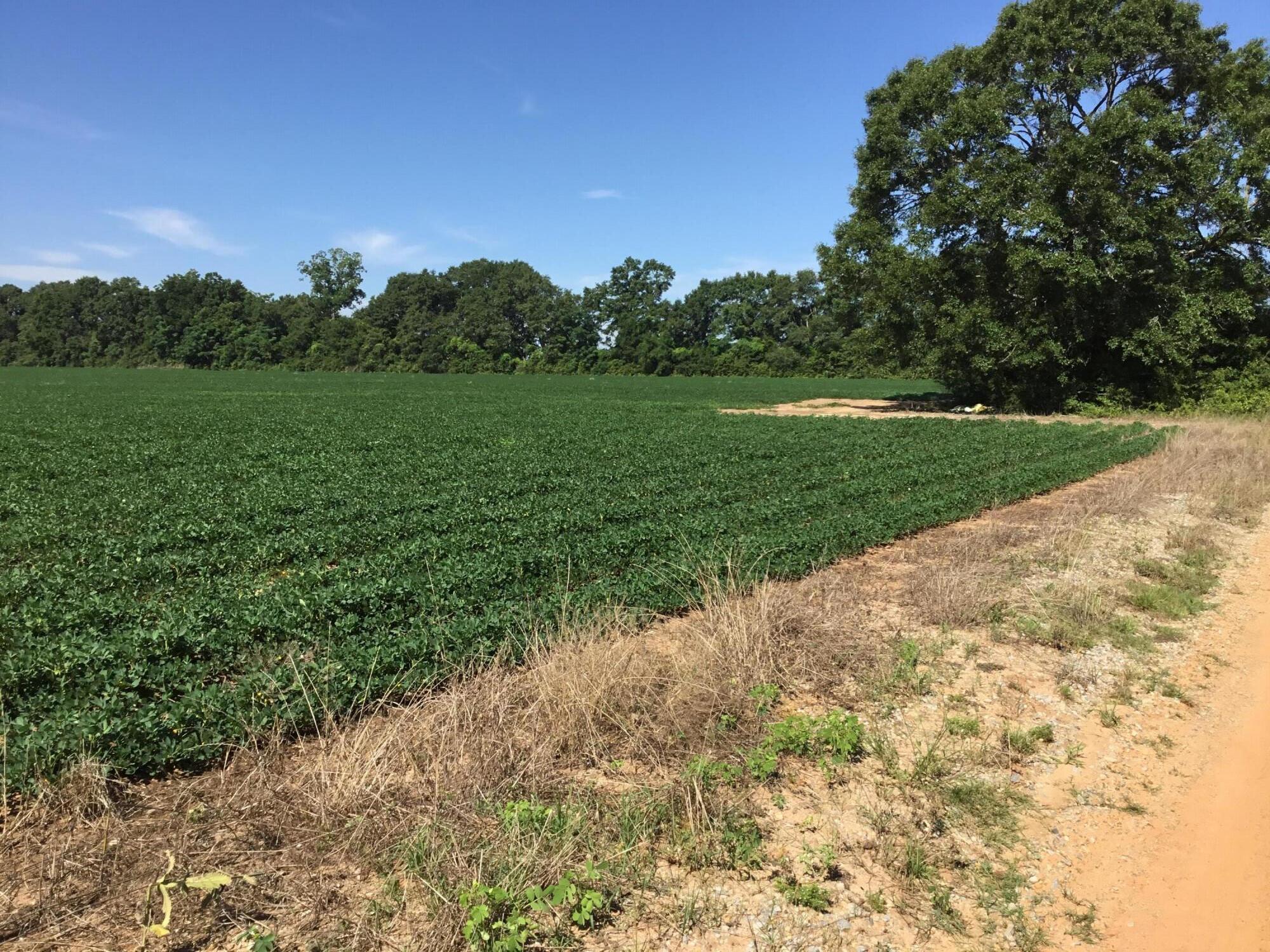 North Supergroup (221000.00) - Land