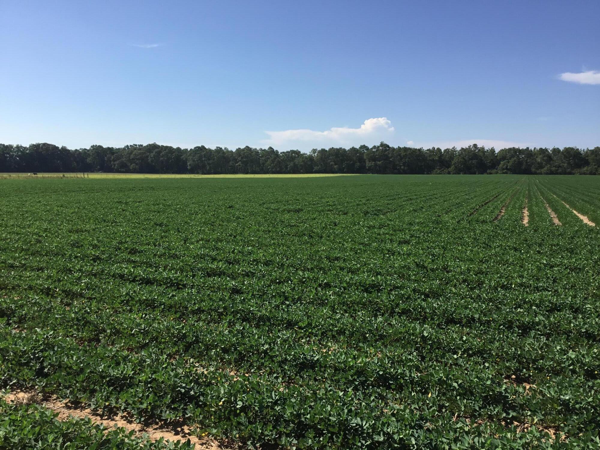 North Supergroup (221000.00) - Land