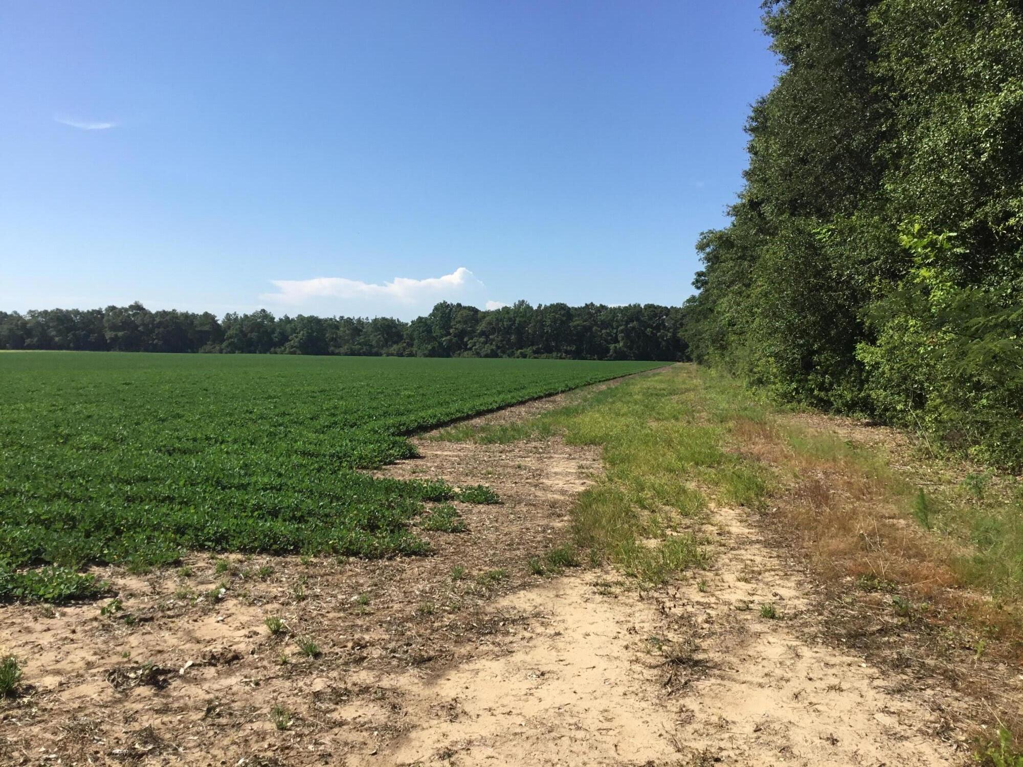 North Supergroup (221000.00) - Land