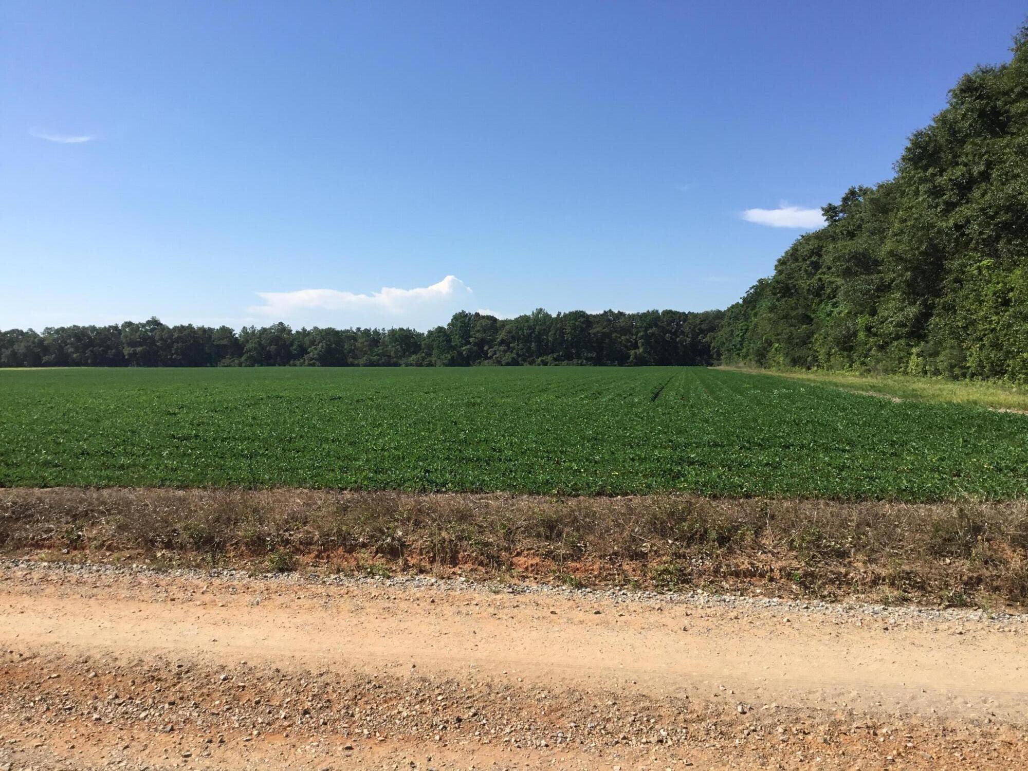 North Supergroup (221000.00) - Land