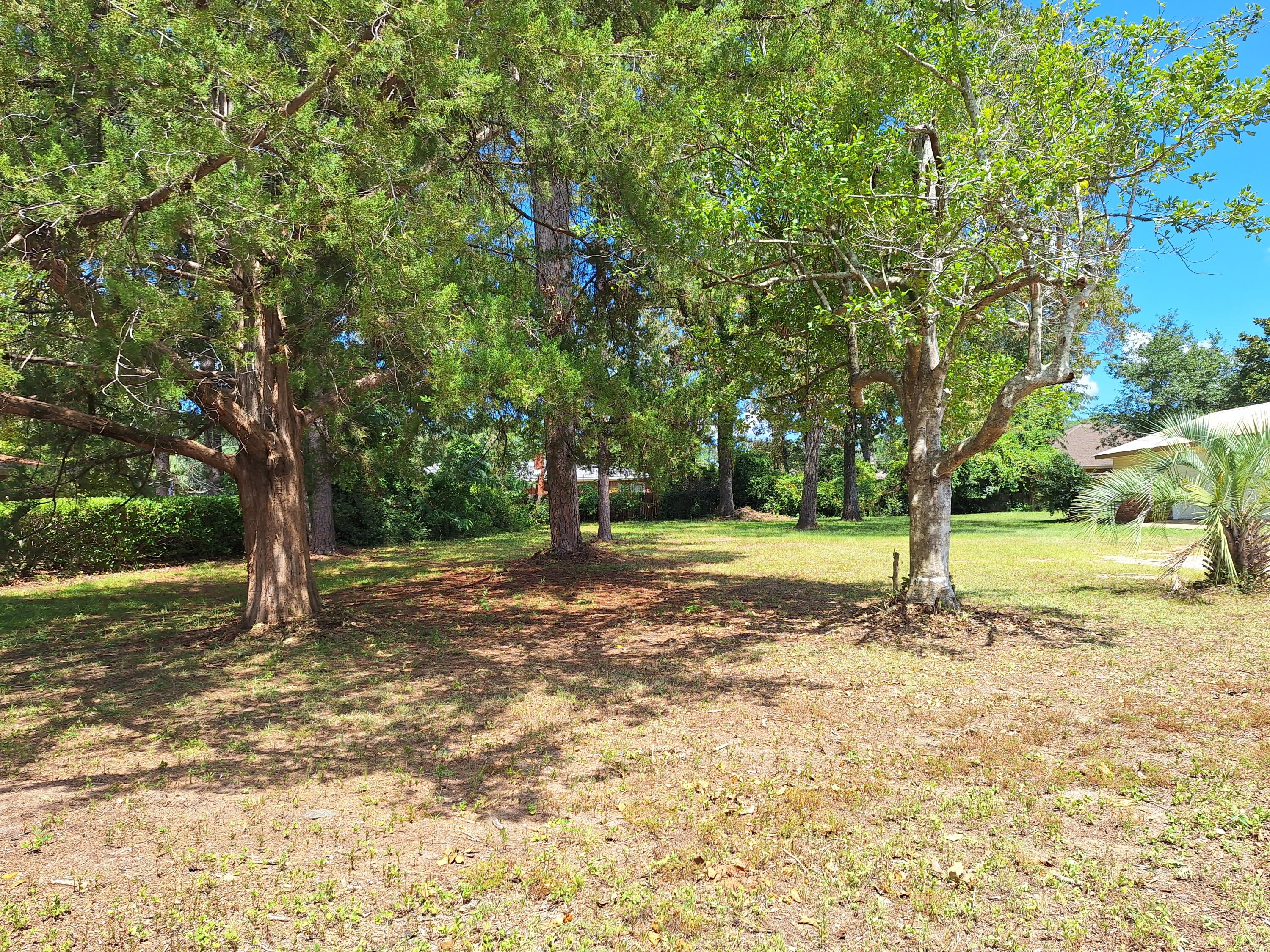 ADAMS POWELL - Residential