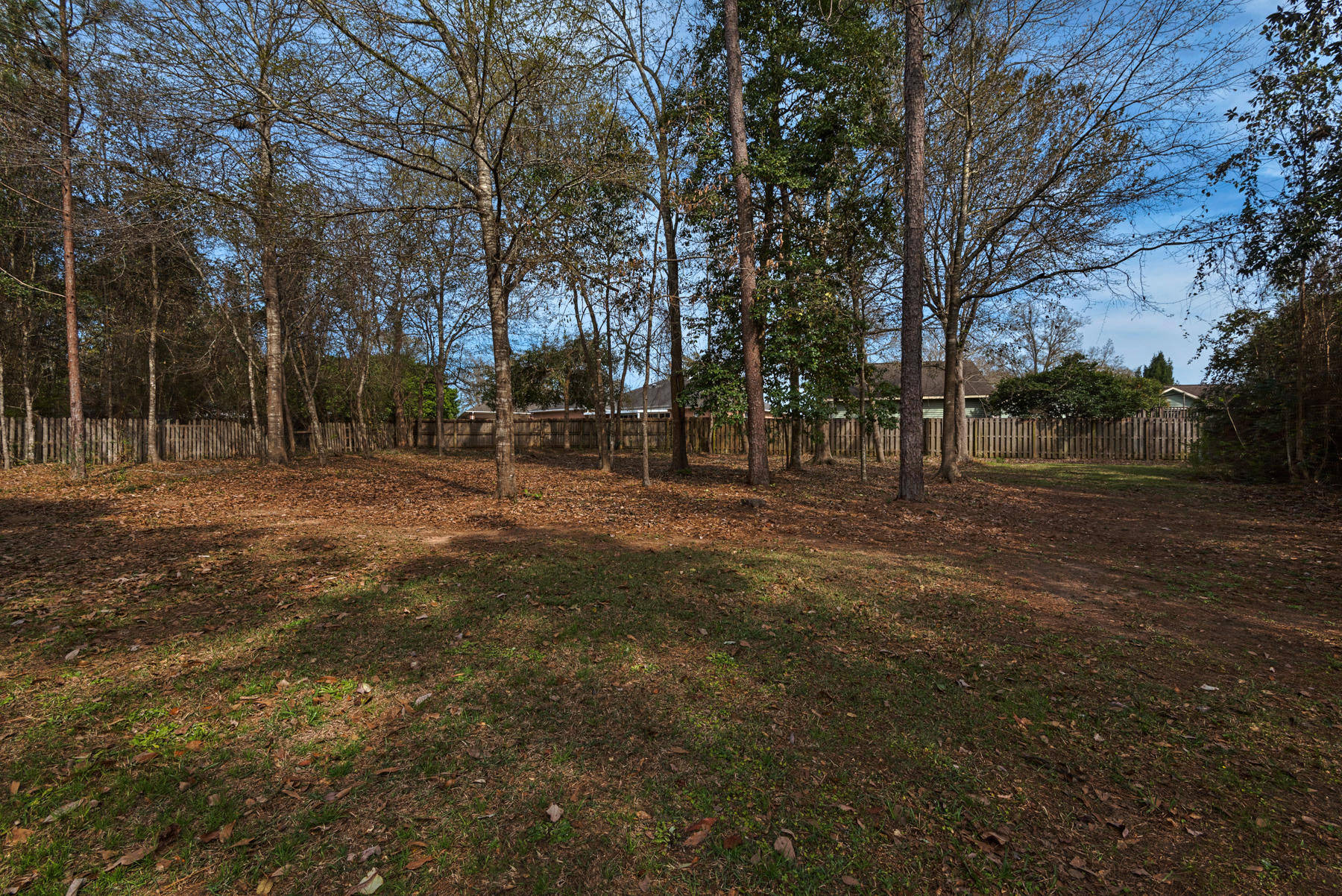 HIDDEN FOREST - Residential