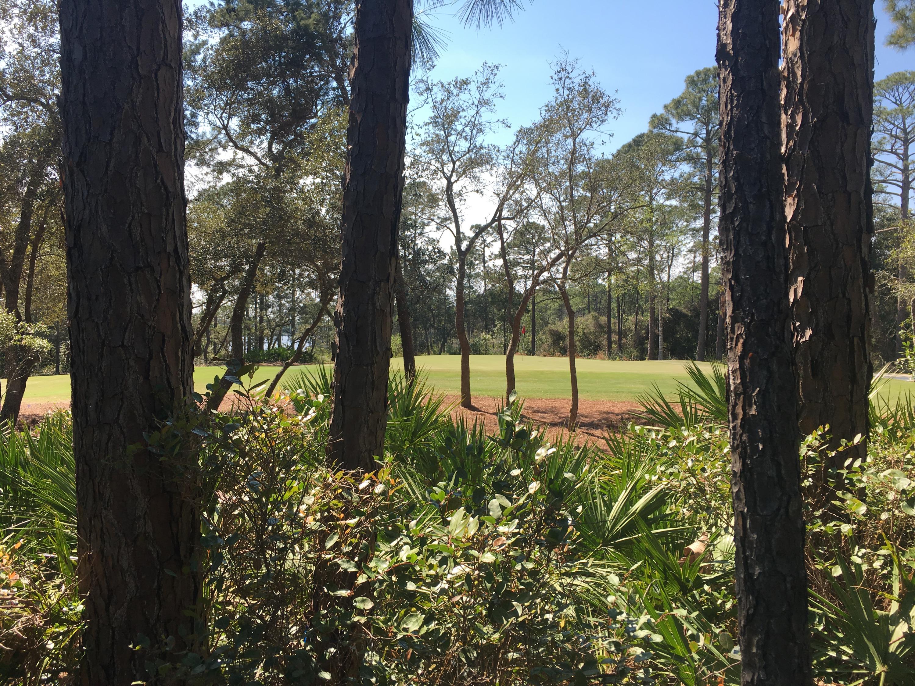 This beautiful 1.03 acre wooded lot backs up to the 12th green of Sharks Tooth Golf Course and is the perfect location to build your next dream home. Wild Heron is a 750 acre development and coastal sanctuary which offers many exclusive amenities such as a boathouse and dock with use of kayaks and canoes to explore beautiful Lake Powell, which is one of the region's largest Coastal Dune Lakes. It also has close to 24 miles worth of trails and walking paths, Tennis Courts, family parks, and of course the Championship Golf Course. Residents can also enjoy a lakeview swimming pool (heated during winter months) with a hot tub, fitness center, lakeside boardwalk and fire pit. Lot dimensions are estimated and should be verified by buyer.
