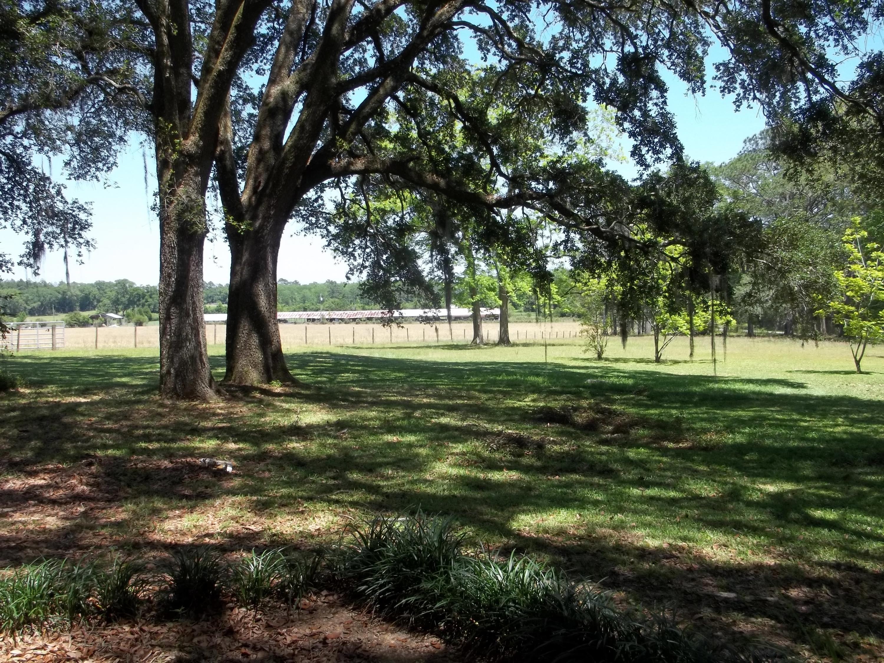 Holmes County - Residential