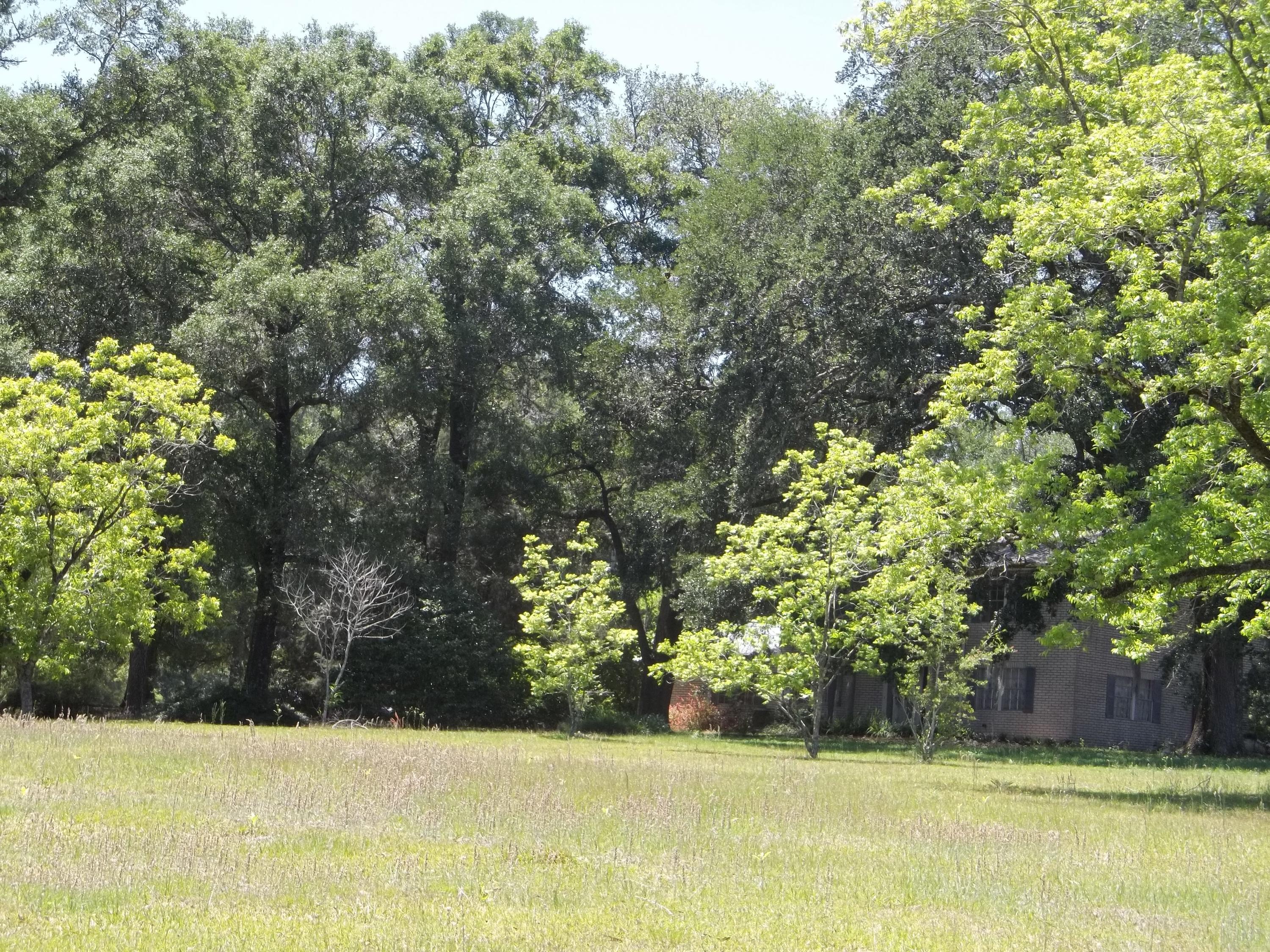 Holmes County - Residential