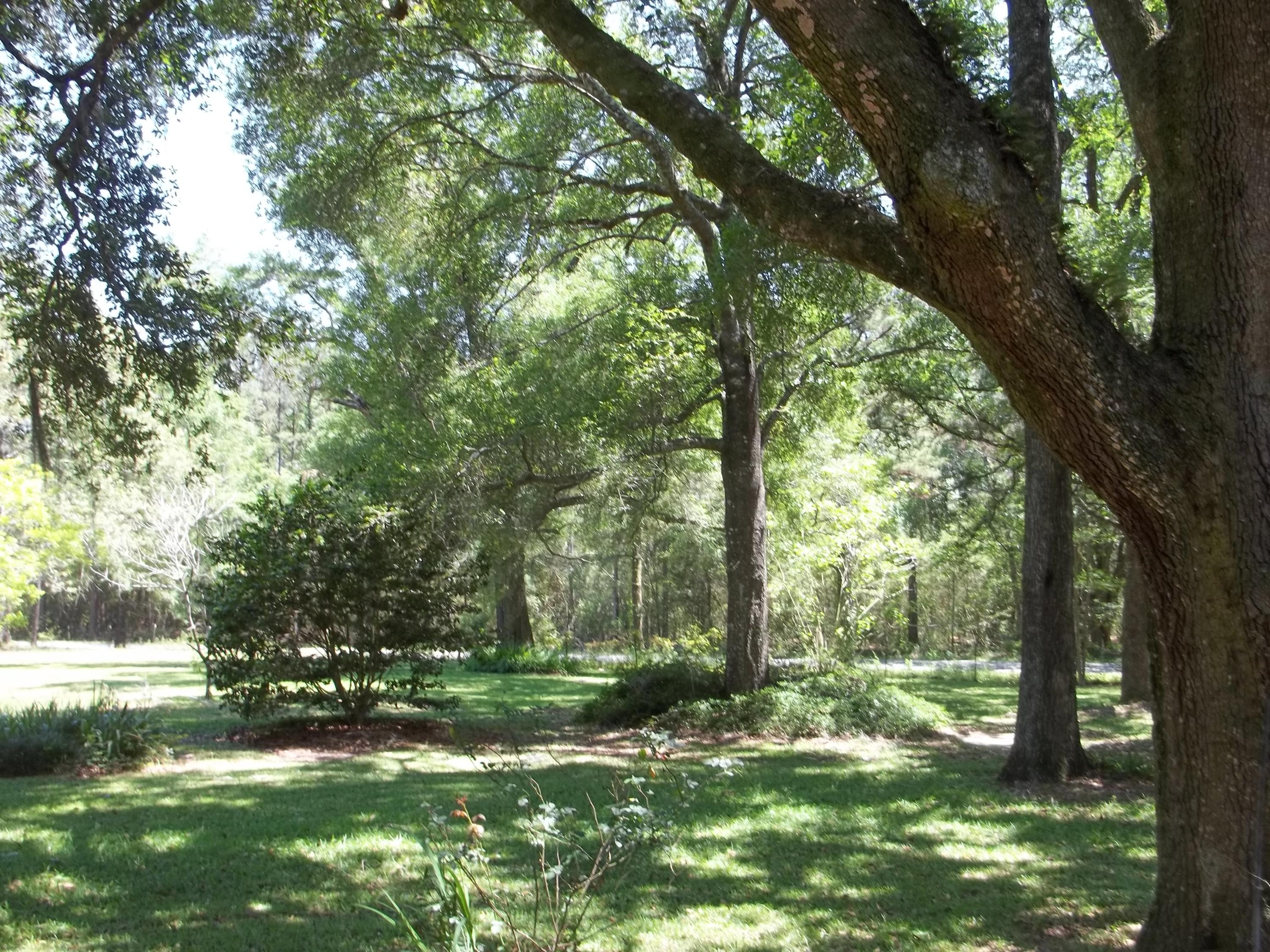 Holmes County - Residential