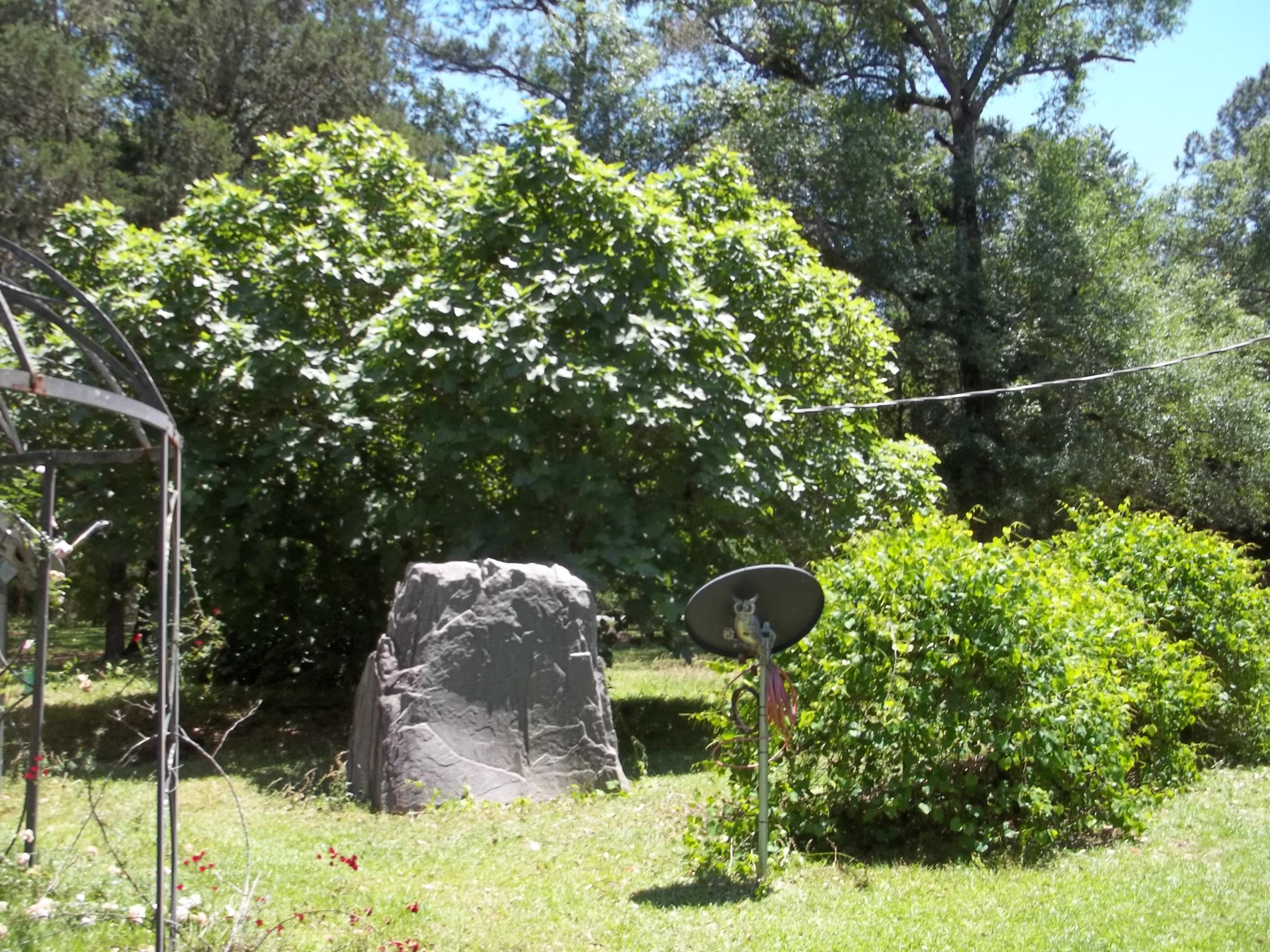 Holmes County - Residential