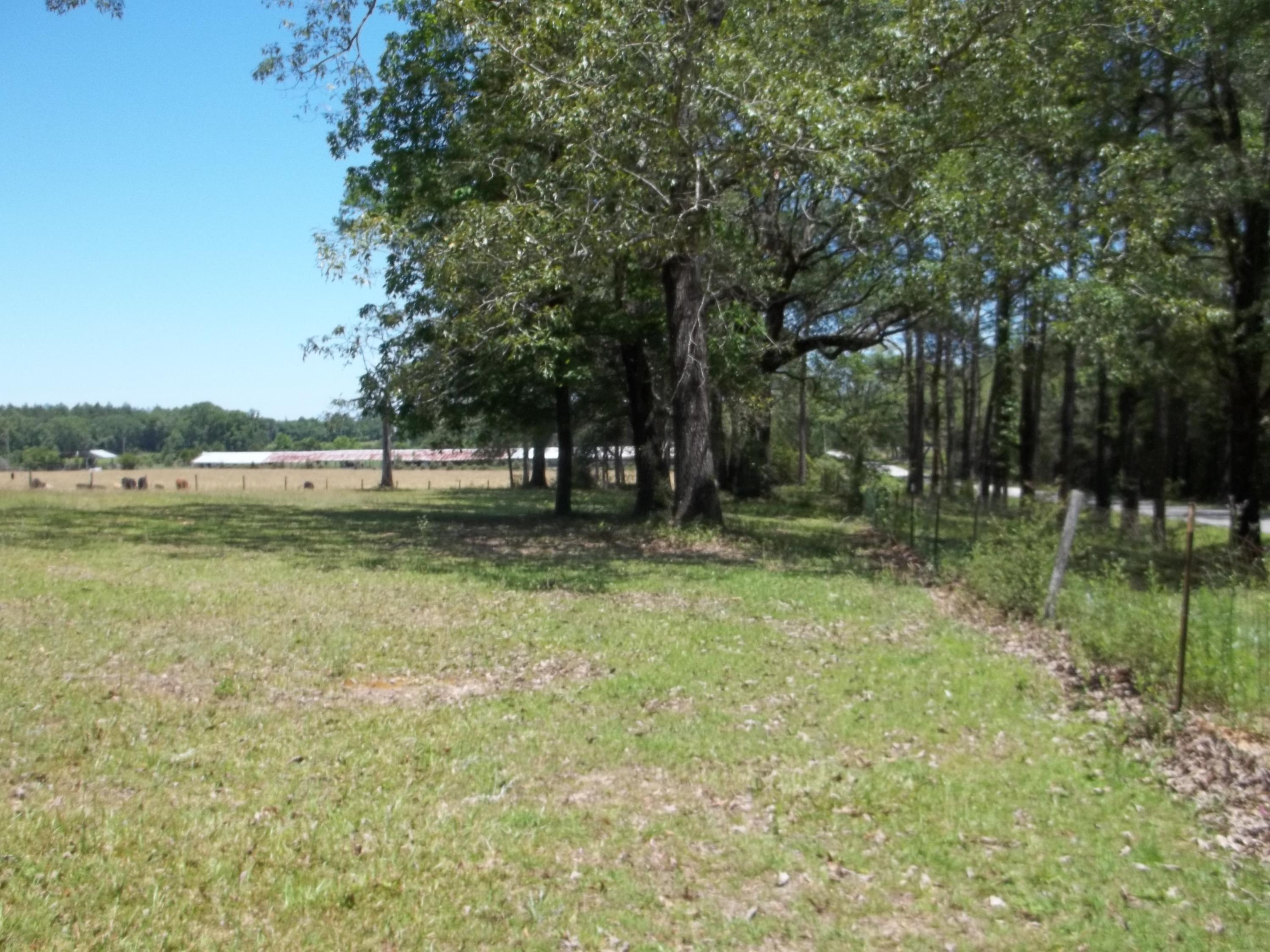 Holmes County - Residential