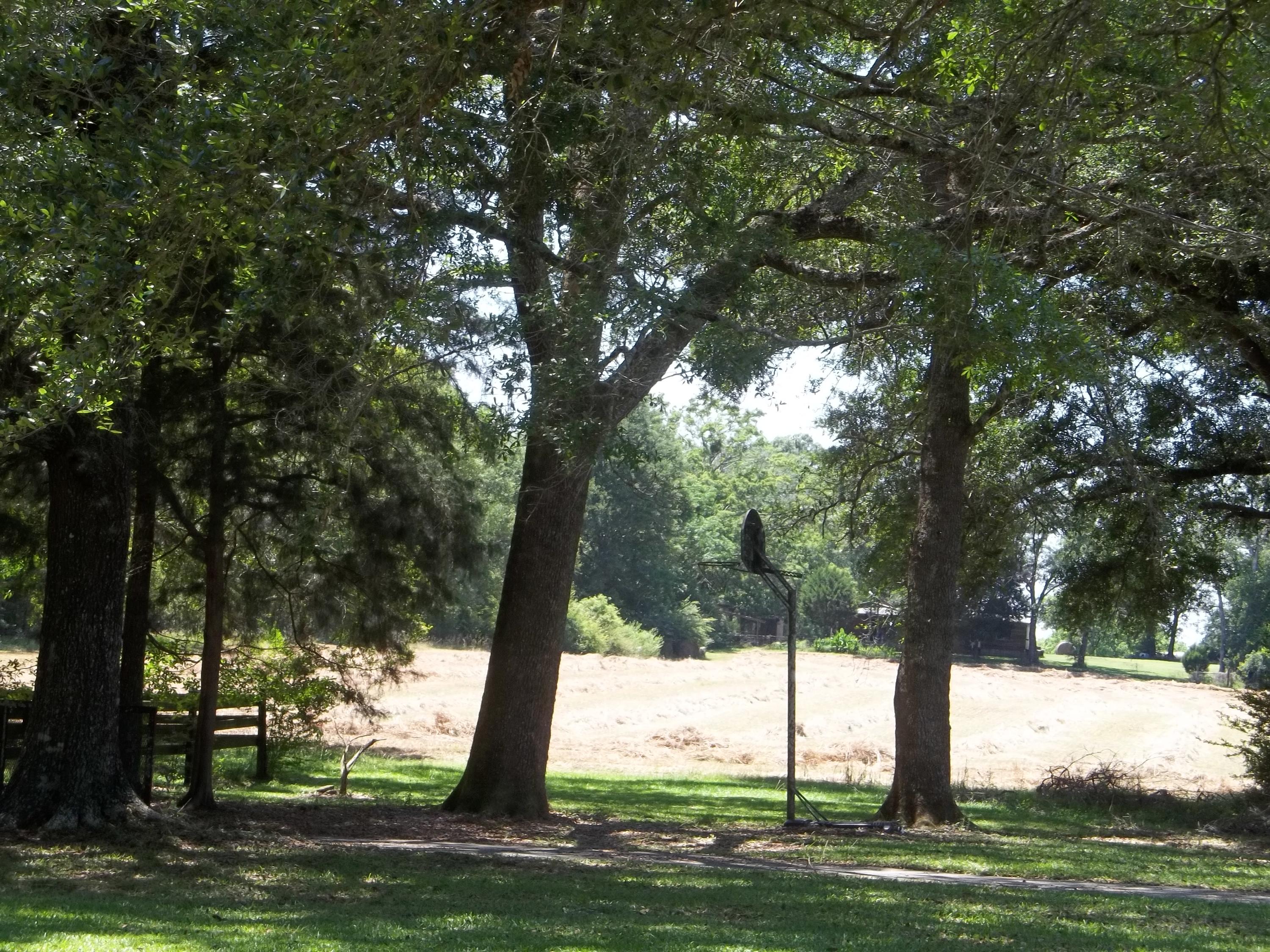 Holmes County - Residential