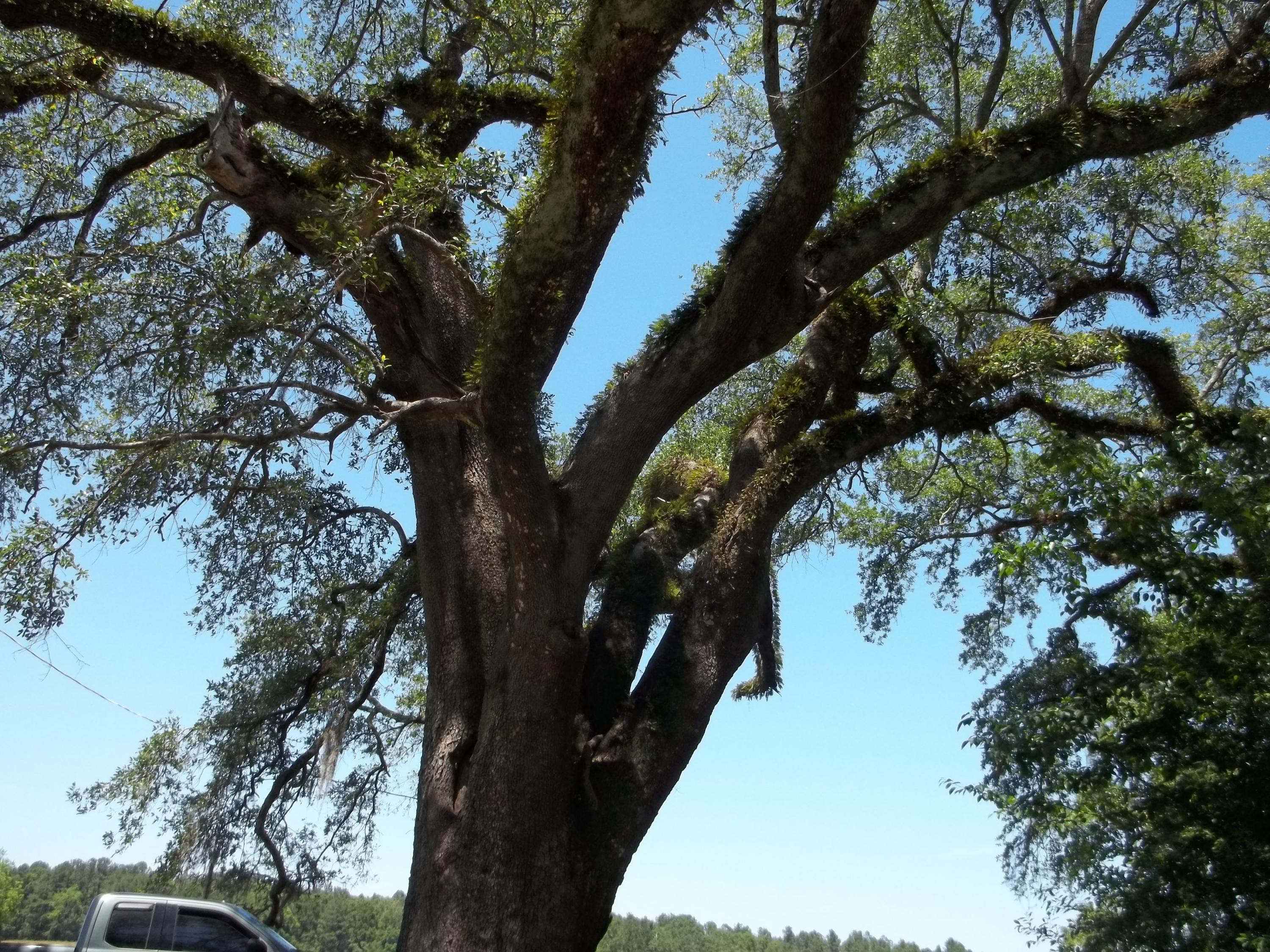 Holmes County - Residential