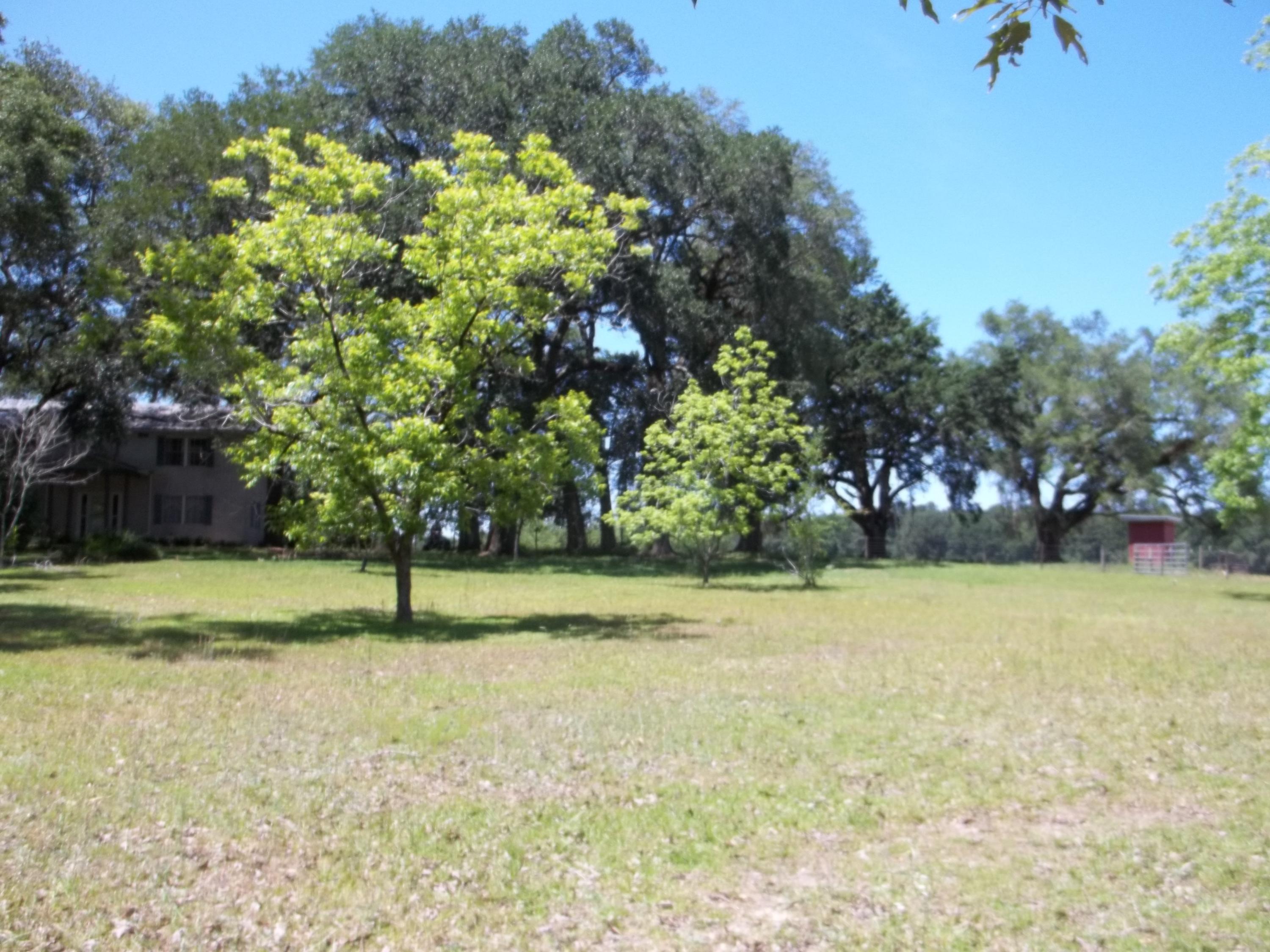 Holmes County - Residential