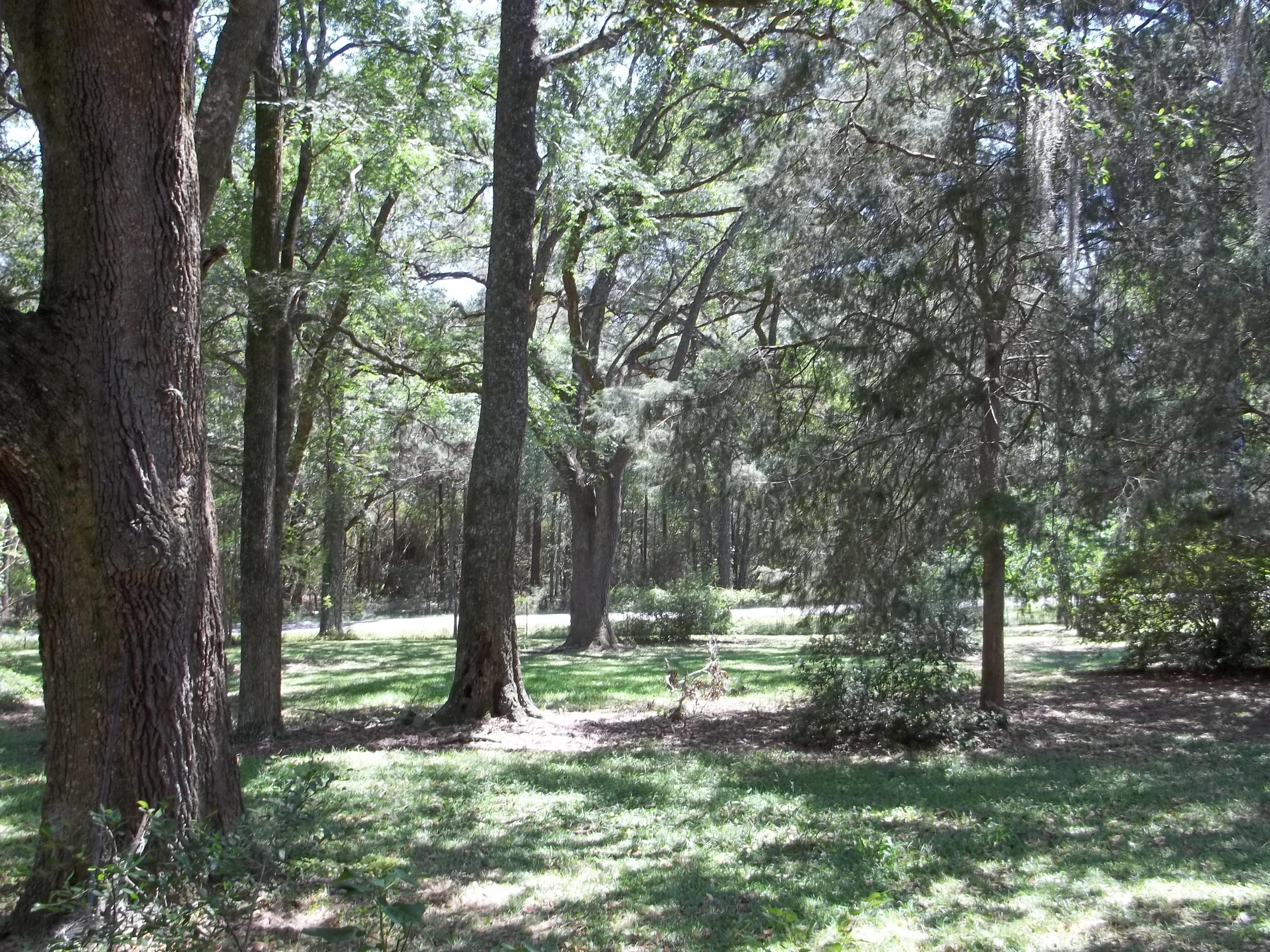 Holmes County - Residential