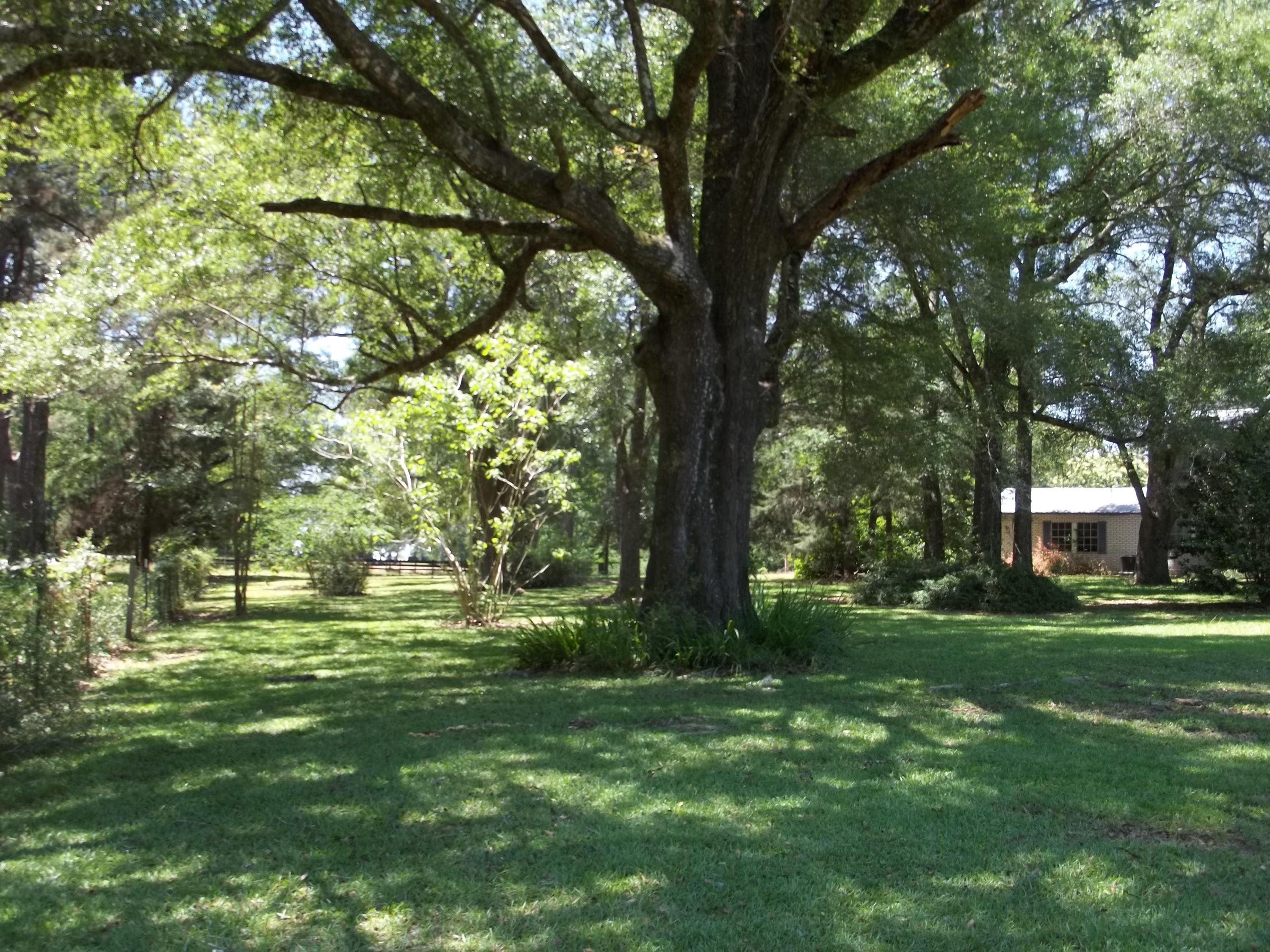 Holmes County - Residential