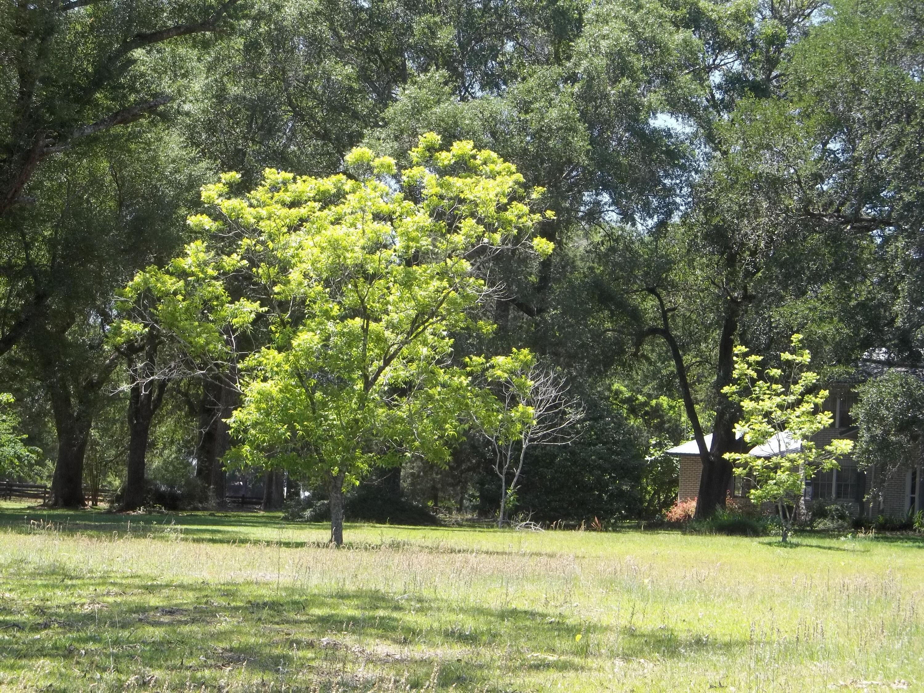 Holmes County - Residential