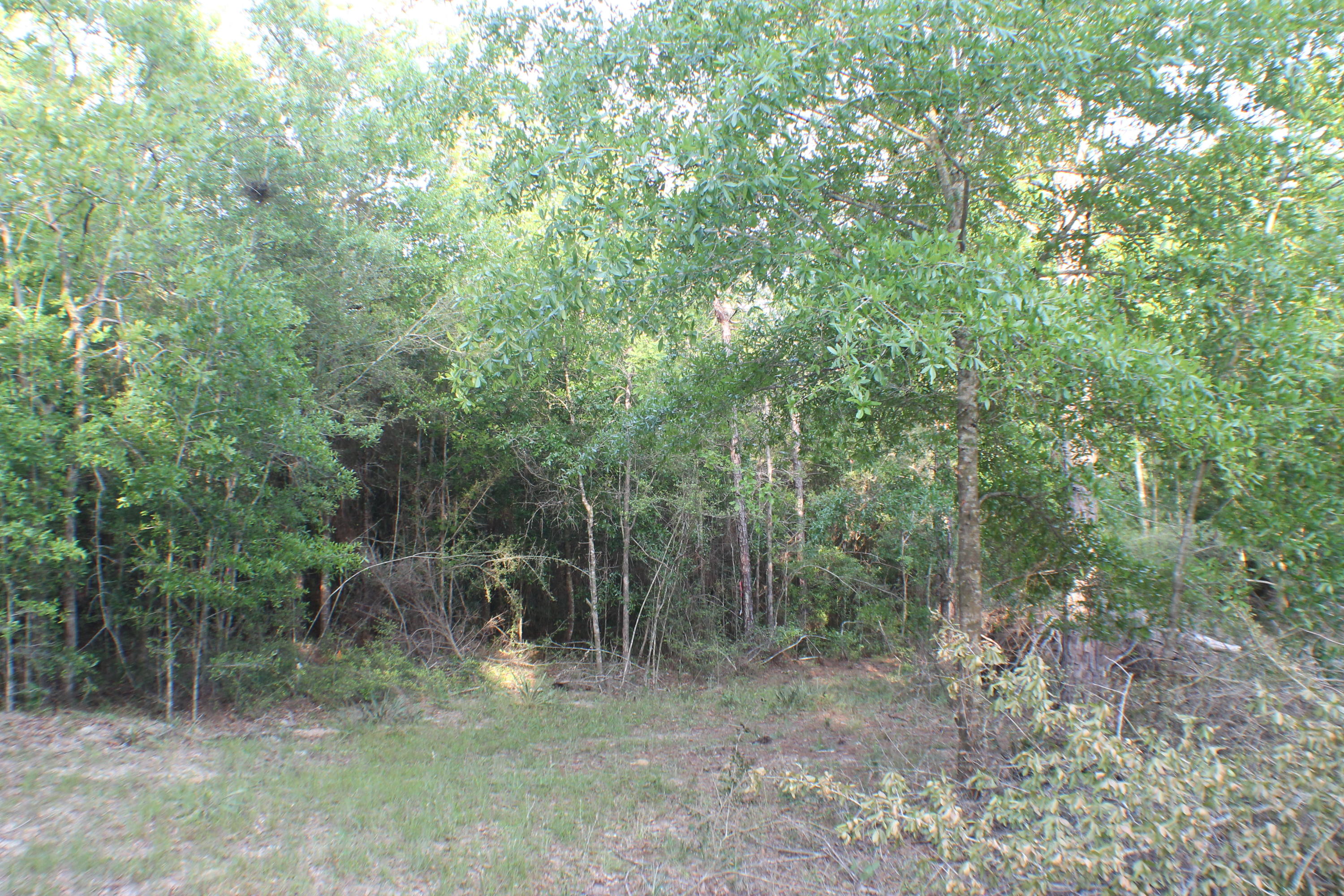 HARVEST HILL PH V - Land