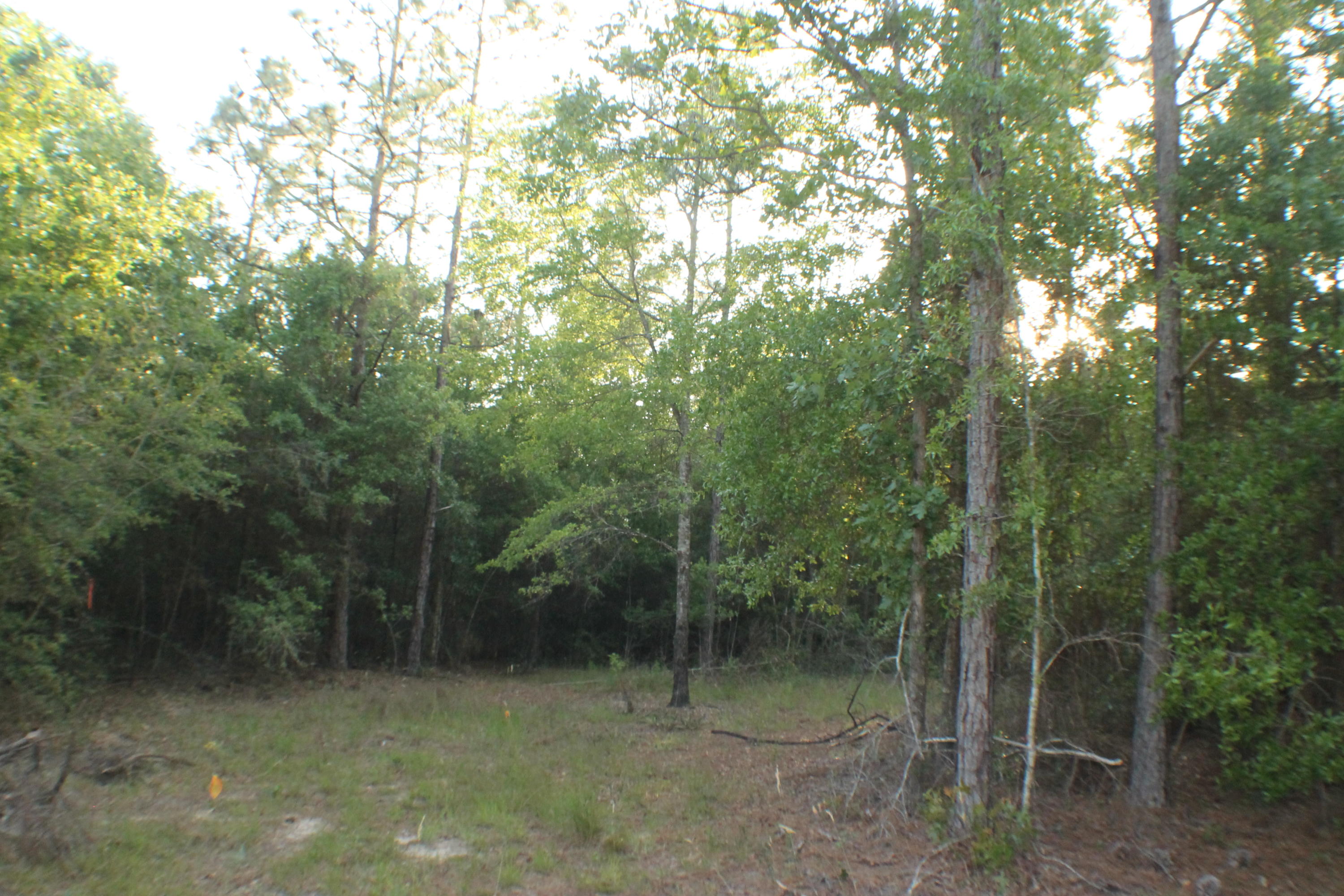 HARVEST HILL PH V - Land