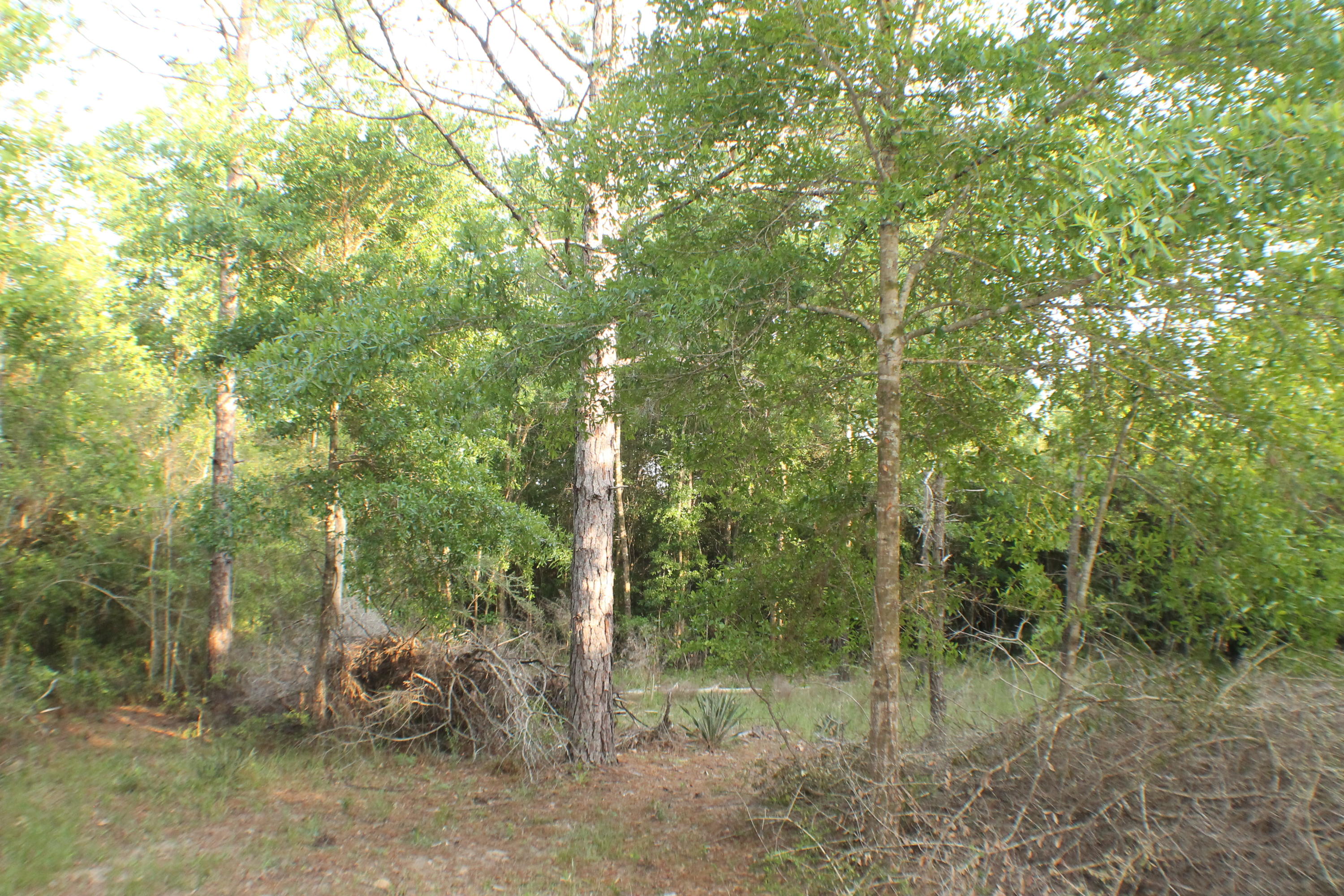 HARVEST HILL PH V - Land