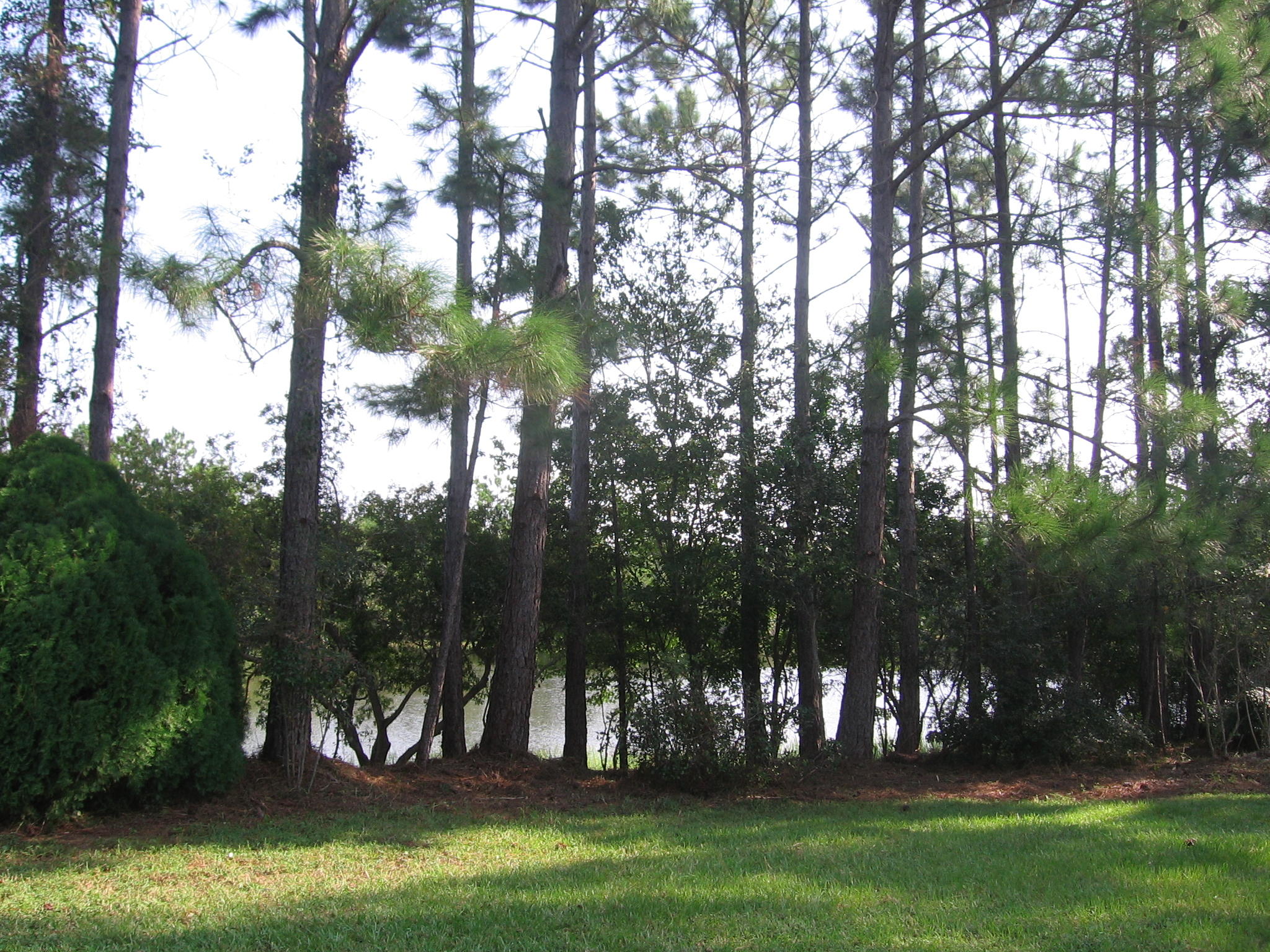 SHORTLINE LAKE ESTATES - Residential