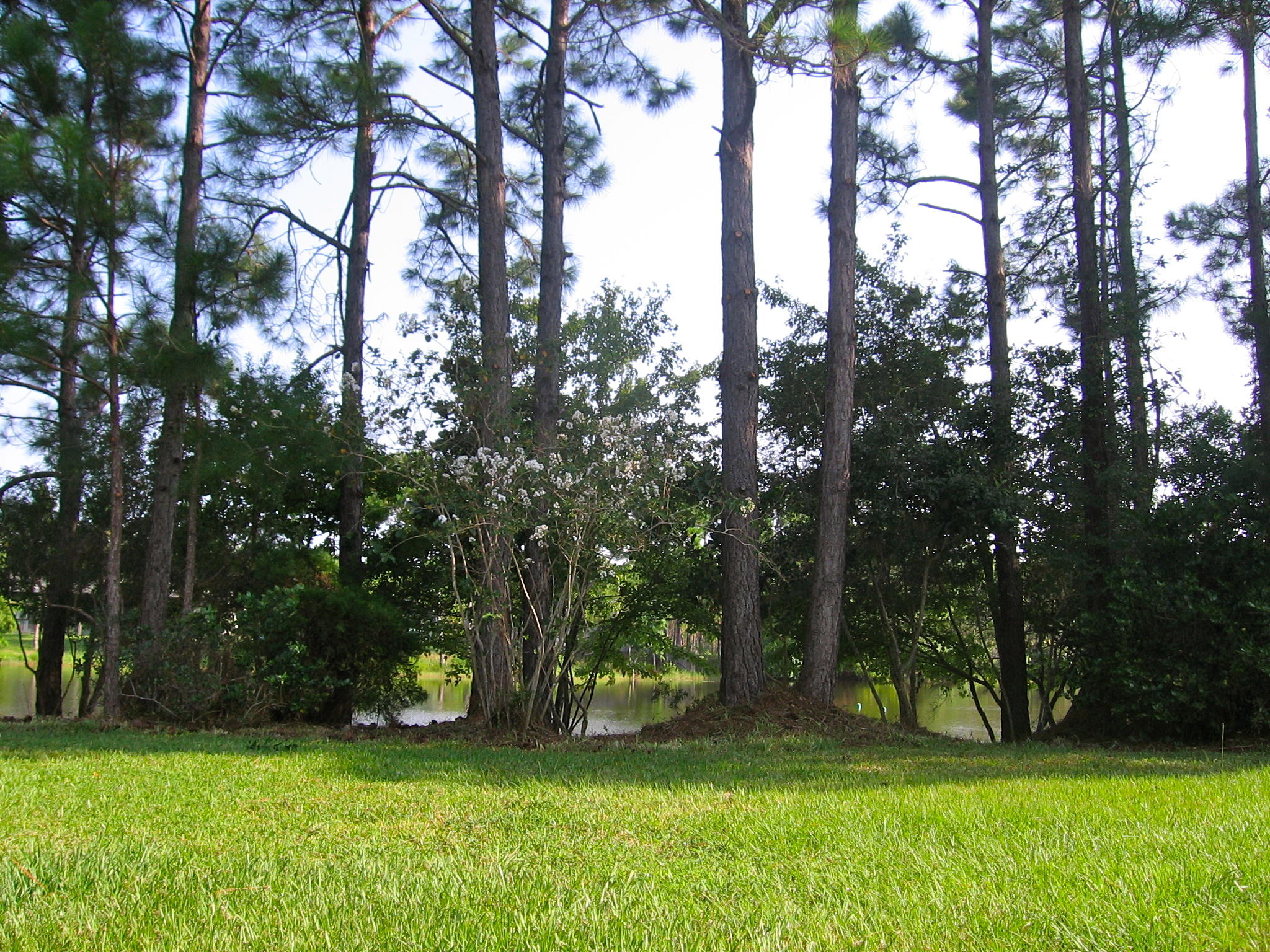 SHORTLINE LAKE ESTATES - Residential