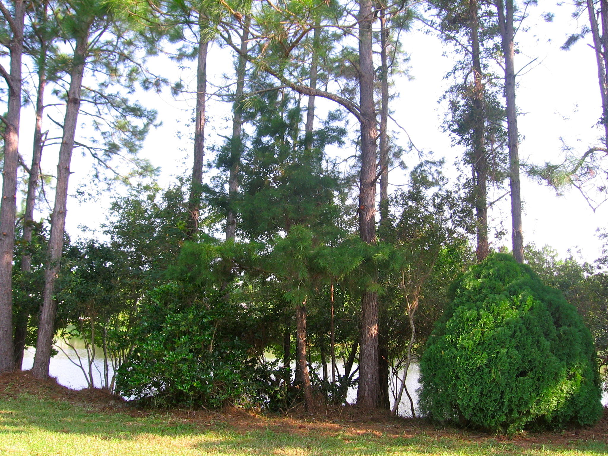 SHORTLINE LAKE ESTATES - Residential