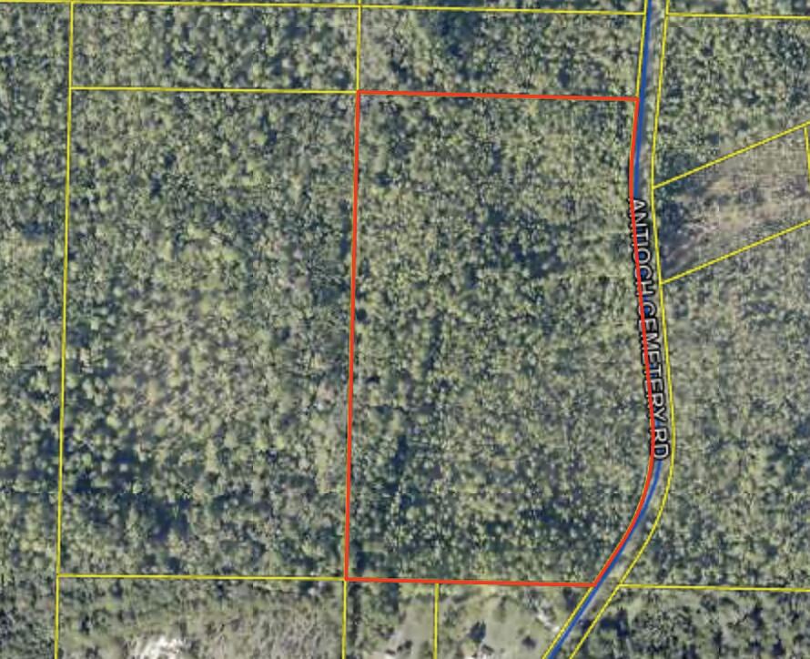 Whether you're looking for a private getaway, or a dream project, this land delivers.Imagine the possibilities: a serene game lodge surrounded by wildlife, a sprawling equestrian estate with horse stables, or a peaceful country retreat for your family. The property is close enough to modern conveniences but far enough to enjoy the tranquility of nature.Located just a short drive to the stunning 30A beaches and Northwest Florida Beaches International Airport, this lot combines country charm with coastal access.Don't miss this rare opportunity to own a piece of Freeport's future. Build your vision today! Lot West of this parcel also for sale for a total of 34 acres call for details.