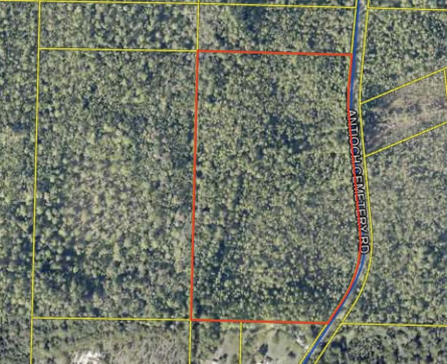 Whether you're looking for a private getaway,  or a dream project, this land delivers.Imagine the possibilities: a serene game lodge surrounded by wildlife, a sprawling equestrian estate with horse stables, or a peaceful country retreat for your family. The property is close enough to modern conveniences but far enough to enjoy the tranquility of nature.Located just a short drive to the stunning 30A beaches and Northwest Florida Beaches International Airport, this lot combines country charm with coastal access.Don't miss this rare opportunity to own a piece of Freeport's future. Build your vision today!  Lot West of this parcel also for sale for a total of 34 acres call for details.